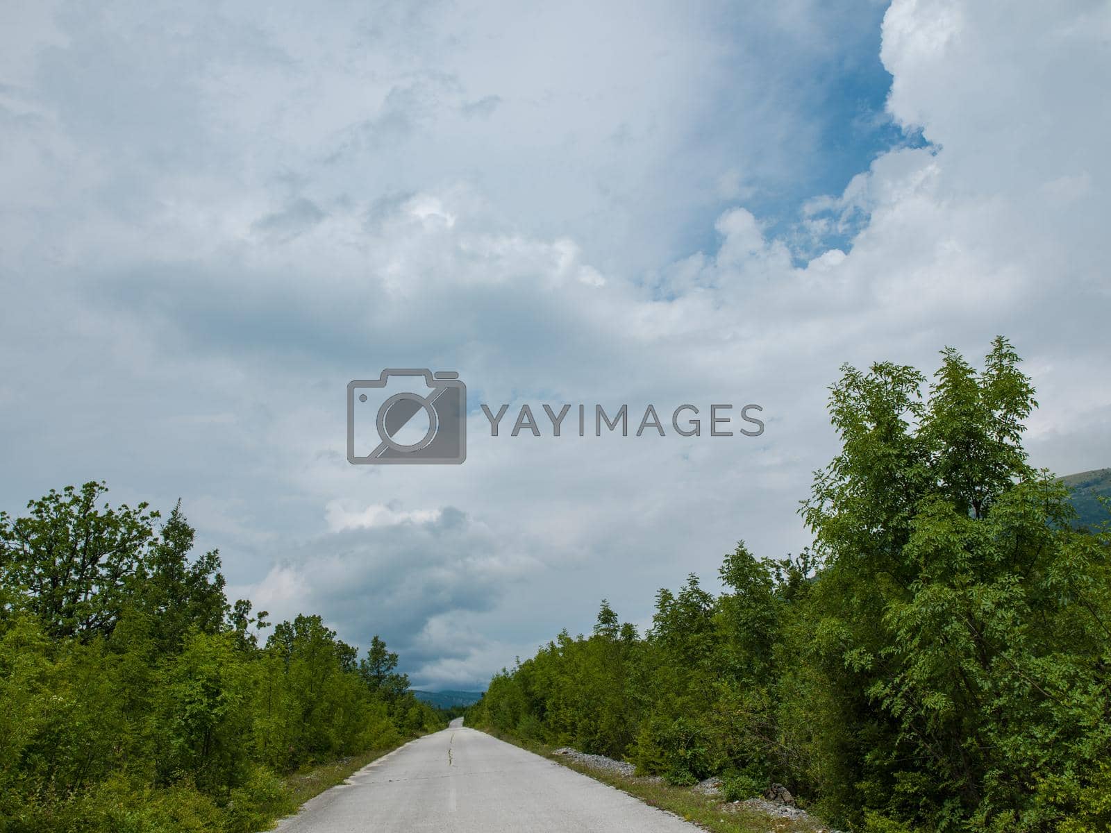 emptry road on countryside at cloudy  summer day
