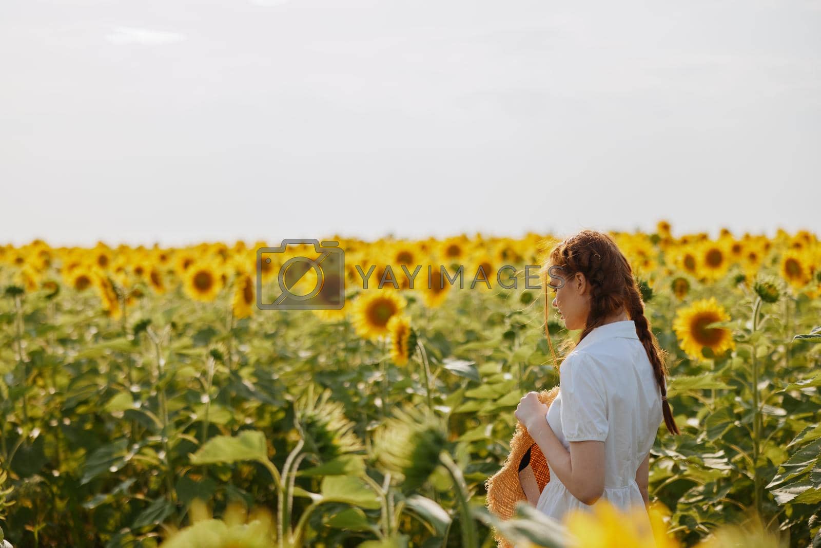 beautiful sweet girl in a field of sunflowers lifestyle landscape. High quality photo