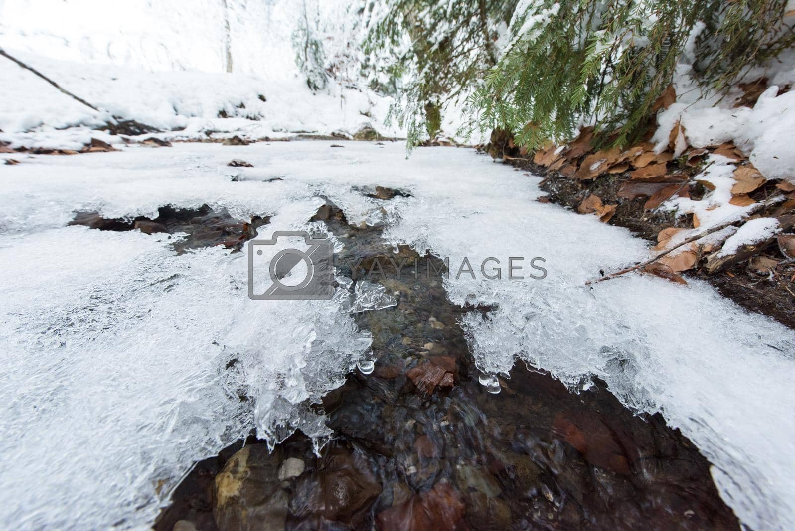 Royalty free image of winter creek ice by dotshock