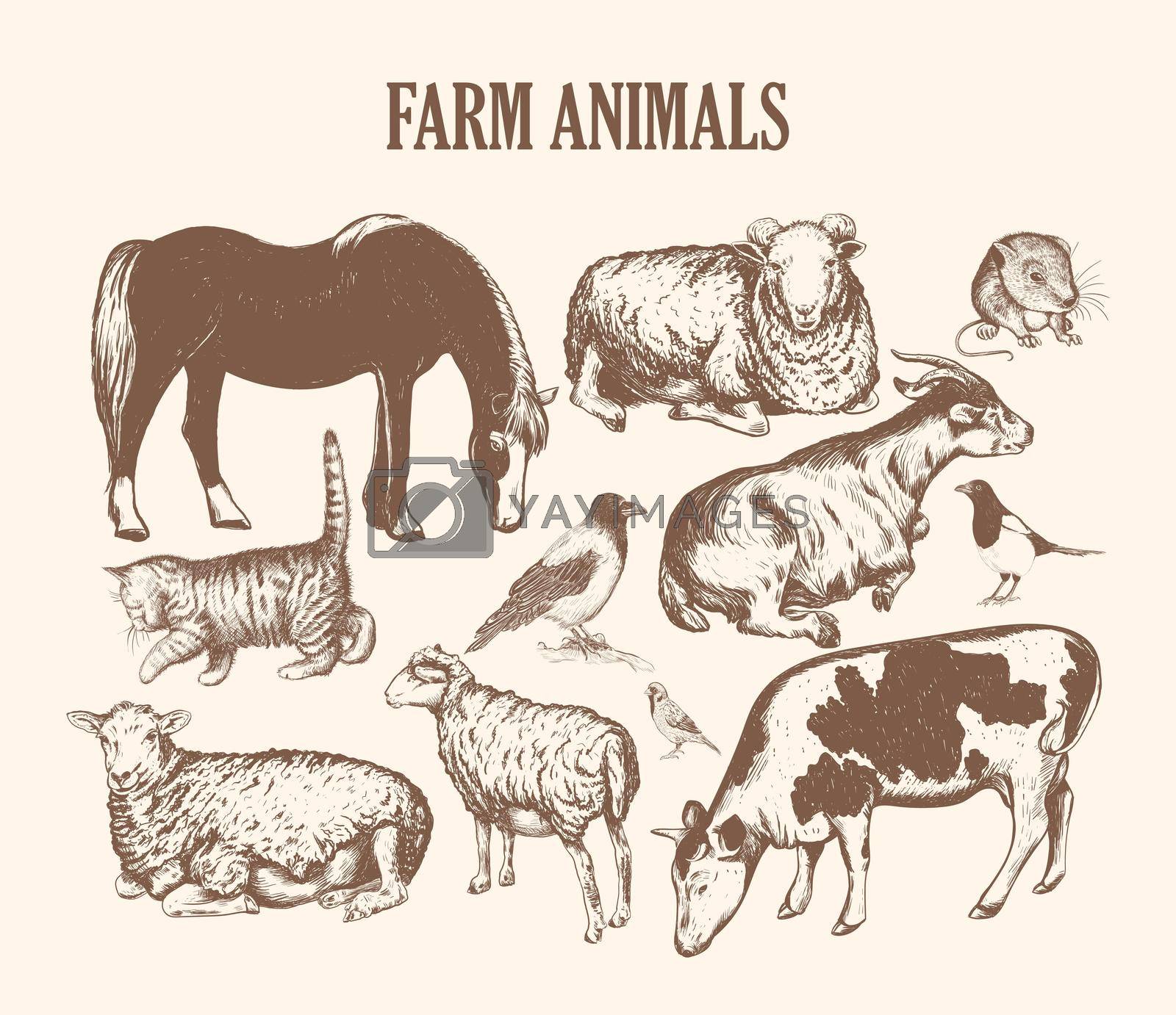 farm animals sketch hand drawing. animals collection vector illustration