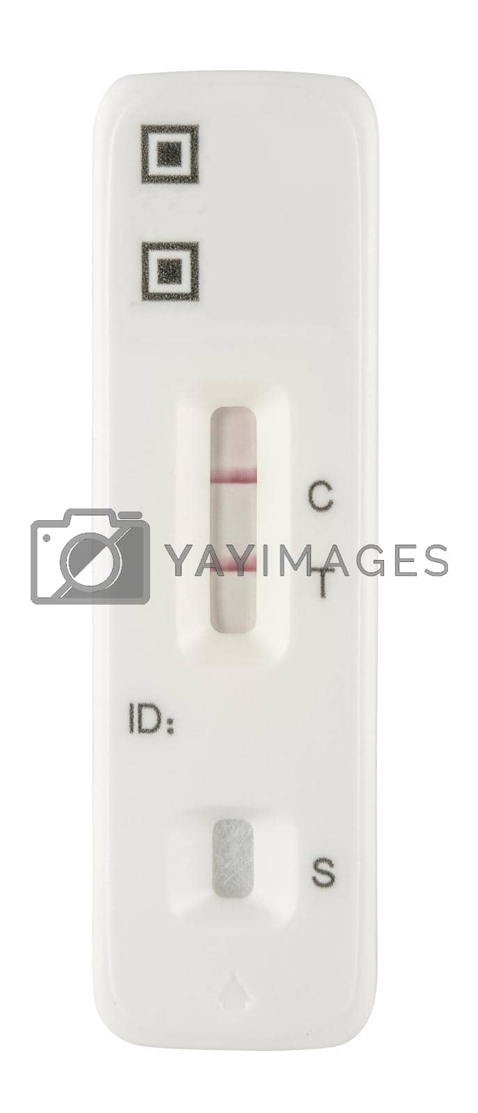 Royalty free image of Positive COVID Rapid Test Strip by mrdoomits