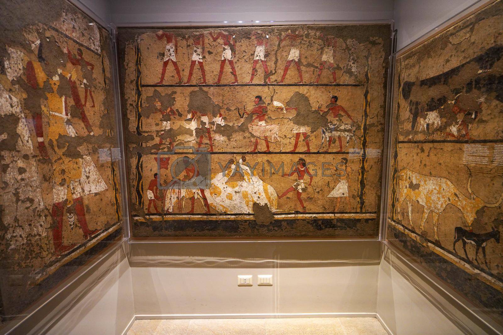 TURIN, ITALY - AUGUST 19, 2021: murals and paintings during Egyptian civilization, Egyptian Museum of Turin, Italy