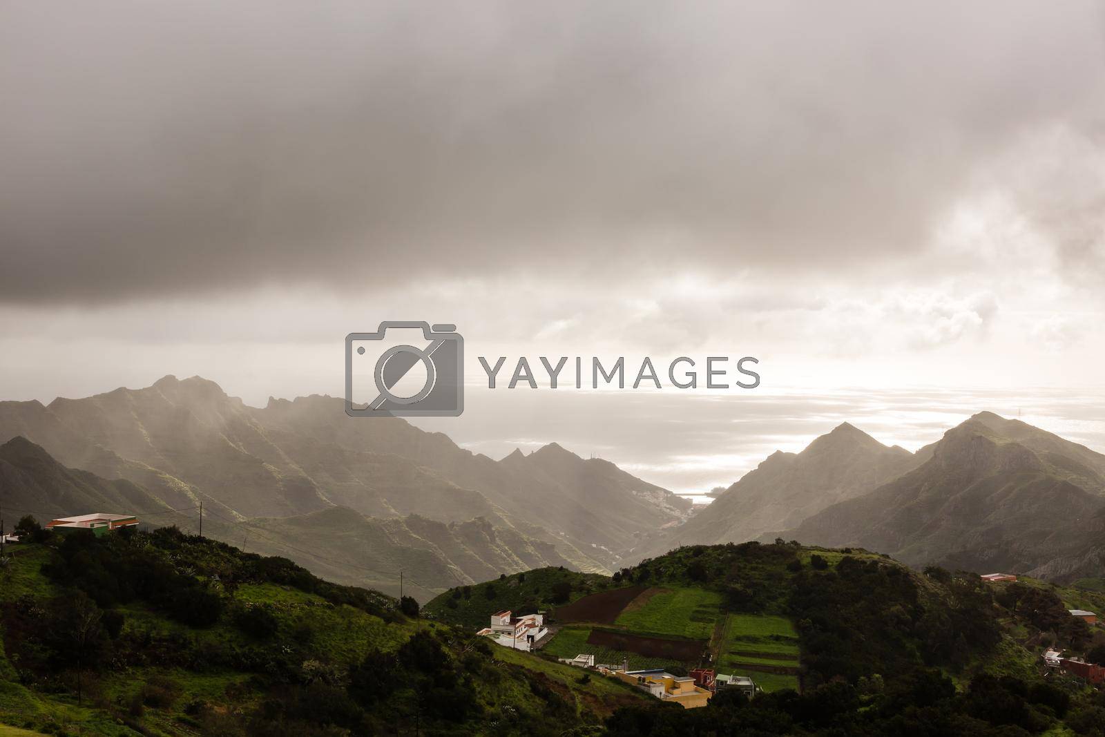 Royalty free image of Anaga north forest in Tenerife island, Canary islands, Spain. by Andelov13