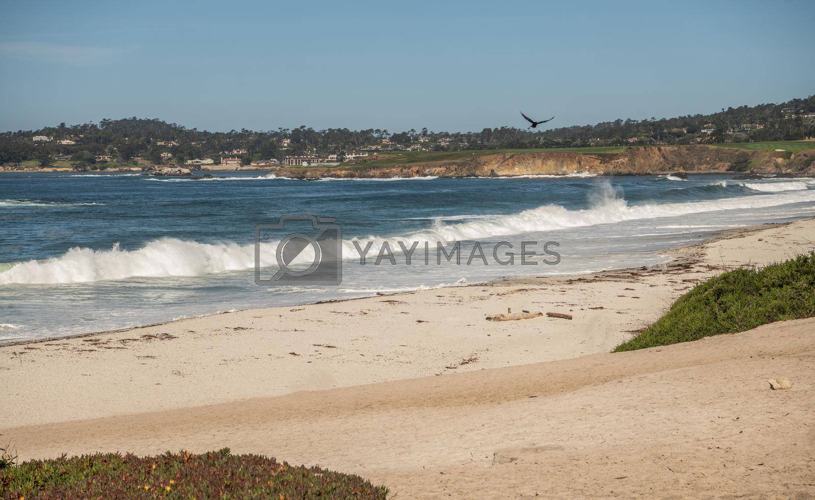 Royalty free image of Carmel California Beach by welcomia