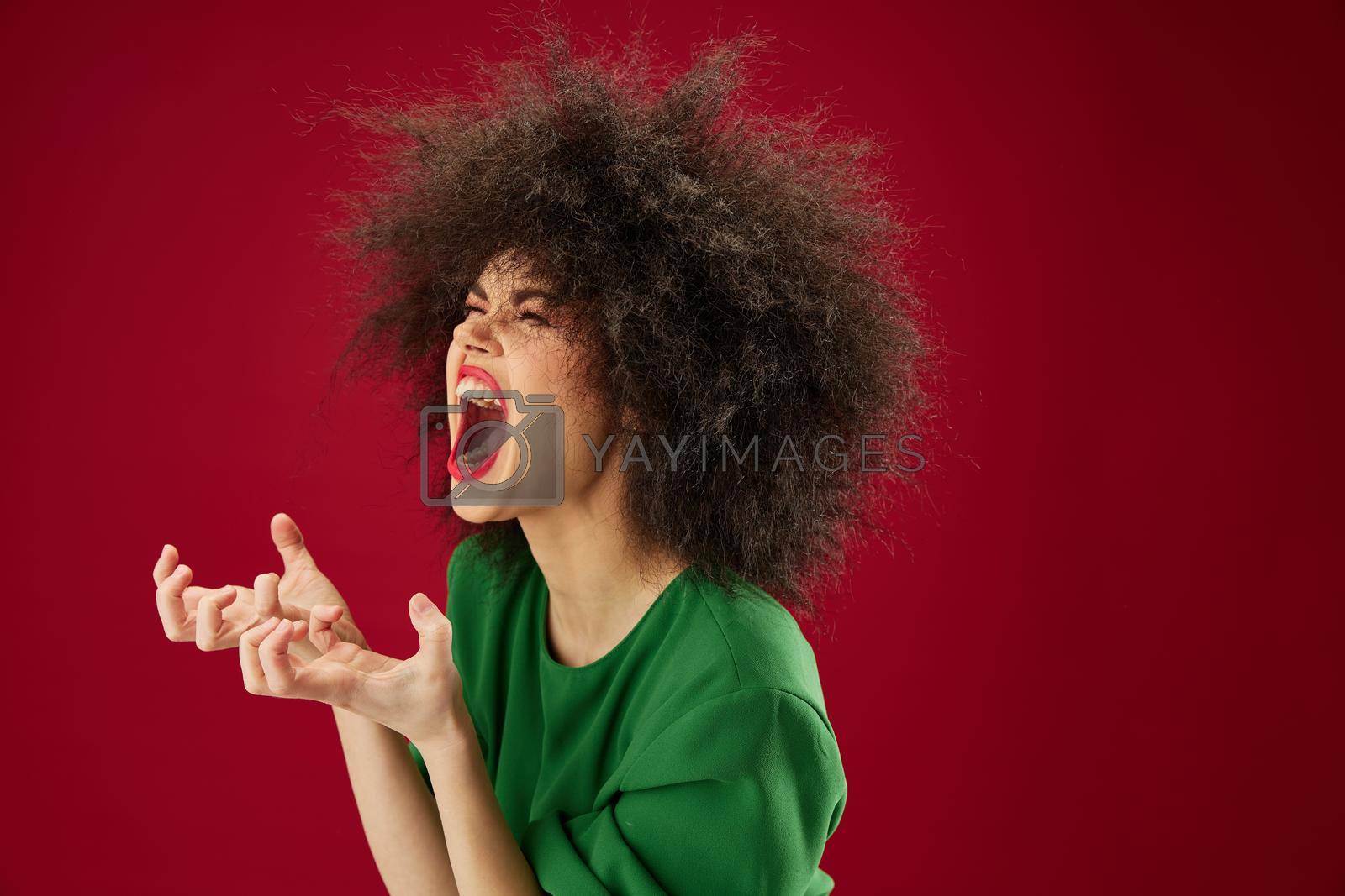 Beauty Fashion woman grimace afro hairstyle red lips fashion color background unaltered. High quality photo
