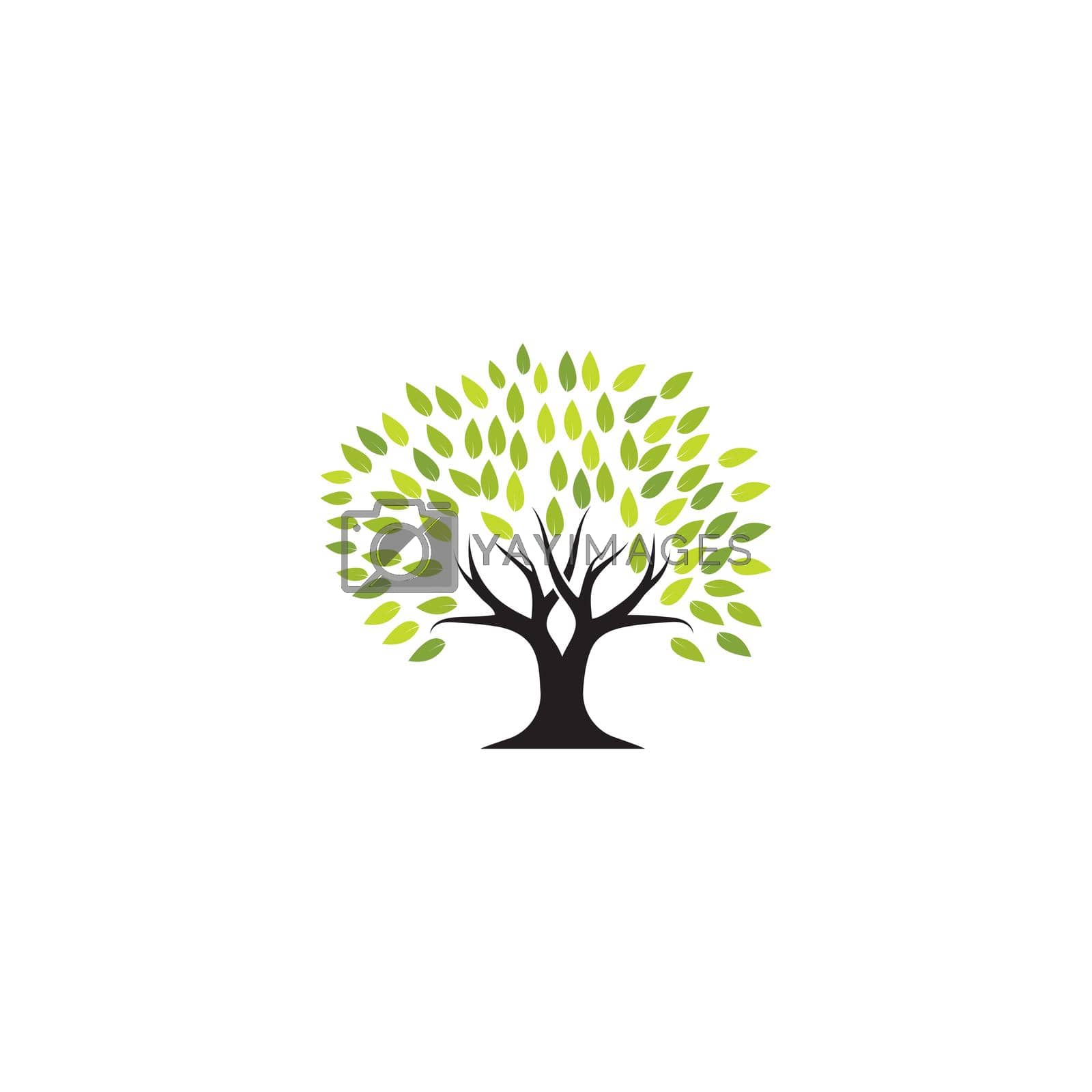 Royalty free image of Tree logo template by awk