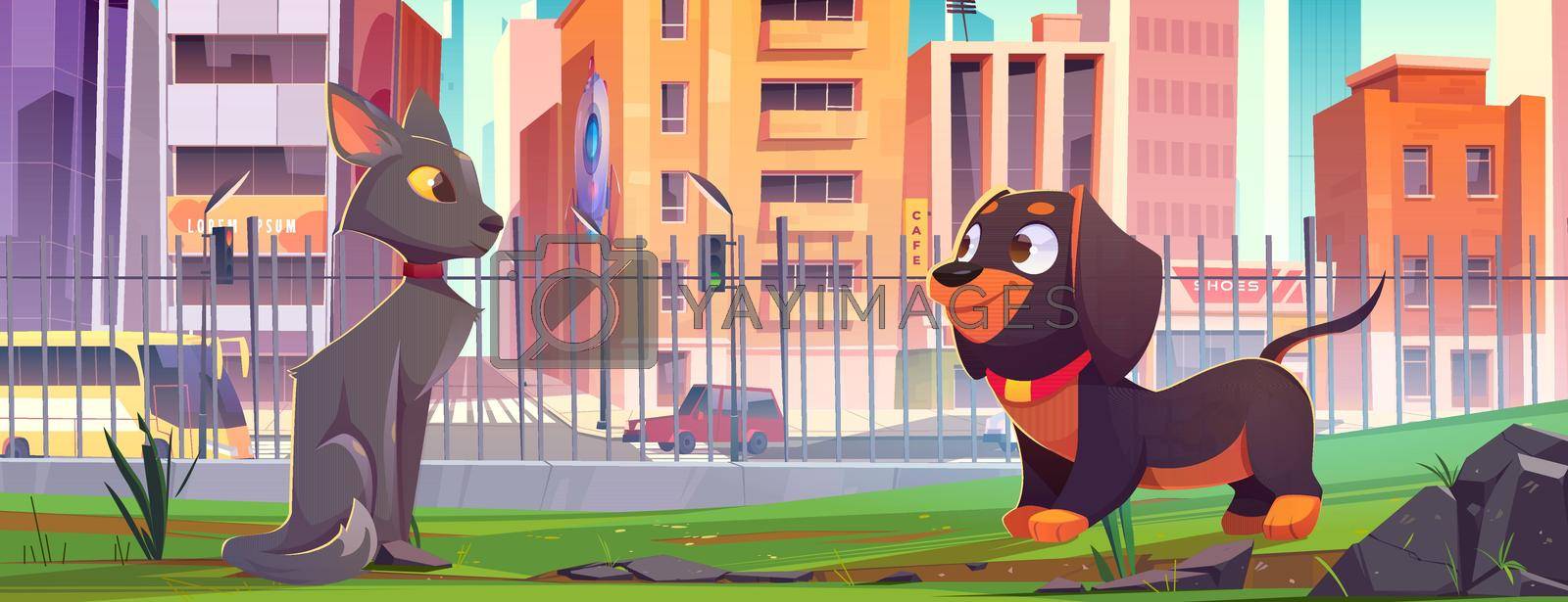 Pets walk in city park. Cute cat and dog meet together on green lawn. Vector cartoon illustration of adorable home animals on backyard with green grass and fence and town street with houses and cars