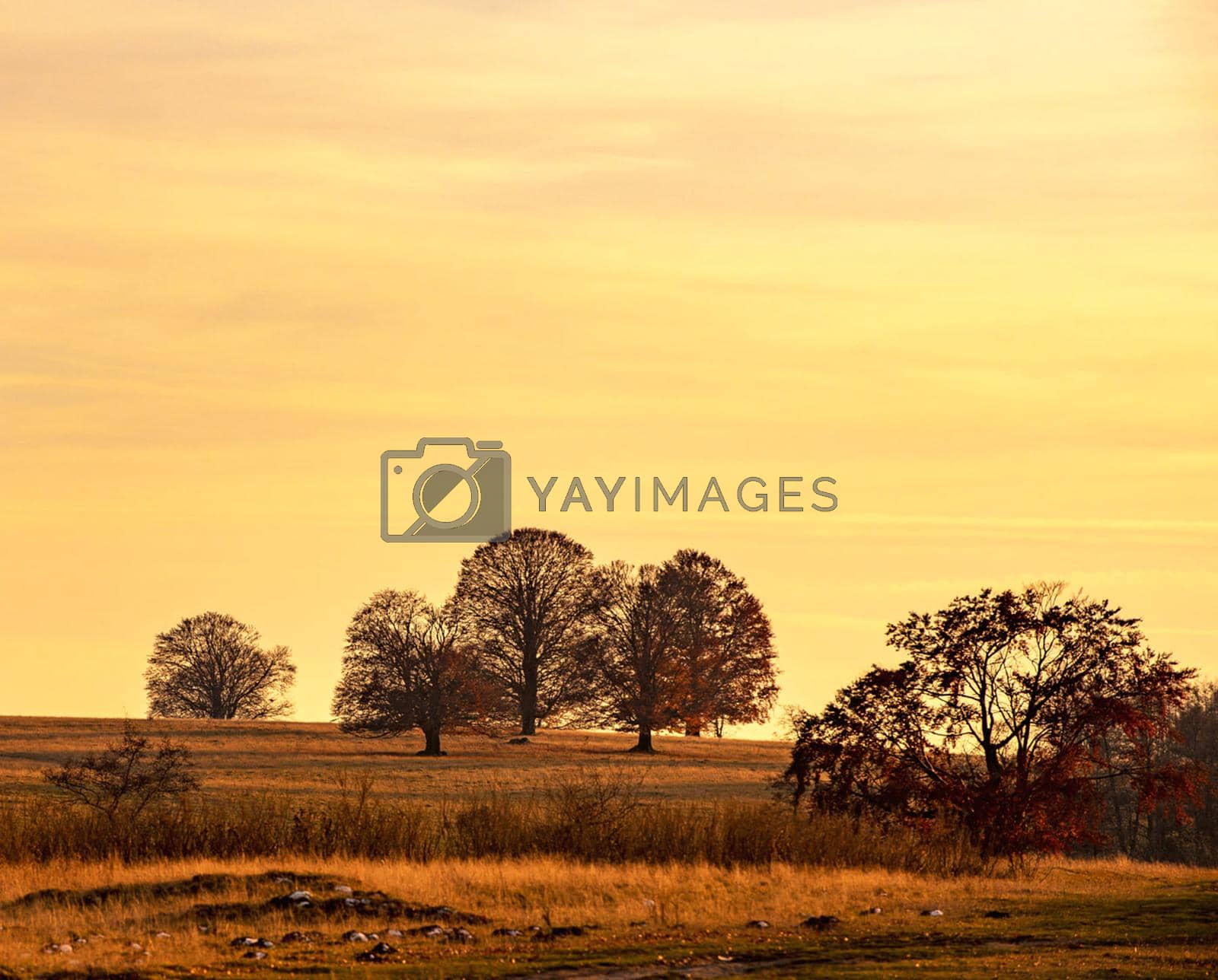 Royalty free image of Transylvania autumn pictures by TravelSync27