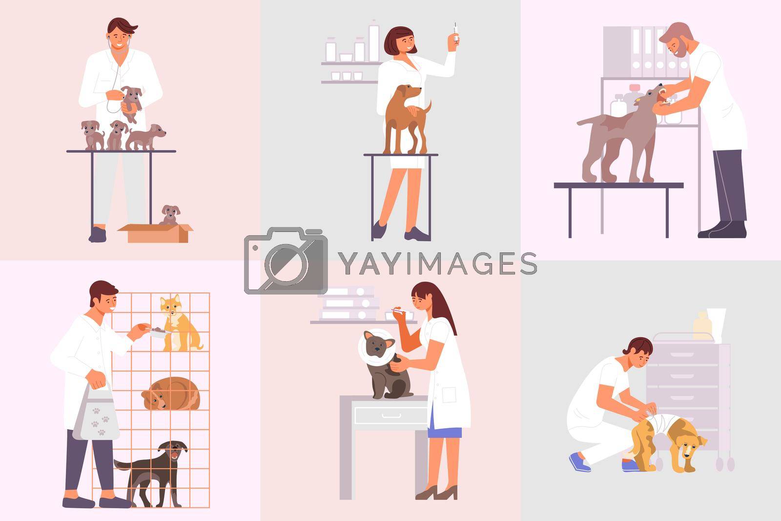 Veterinary clinic compositions set of flat animals and characters of medical specialists taking care of pets vector illustration