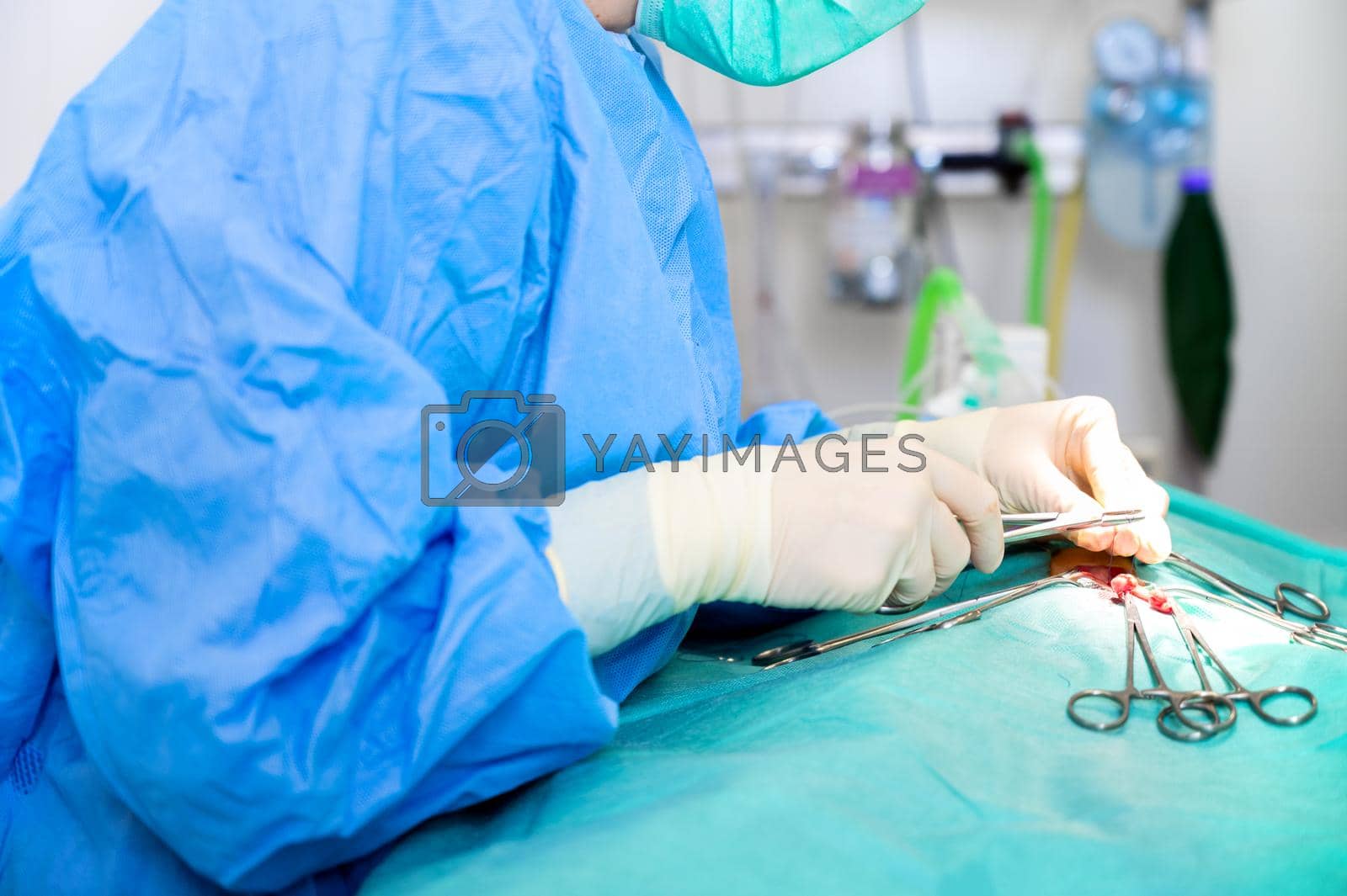 Royalty free image of Close-up portrait of female surgeon wearing sterile clothing operating at operating room. by HERRAEZ
