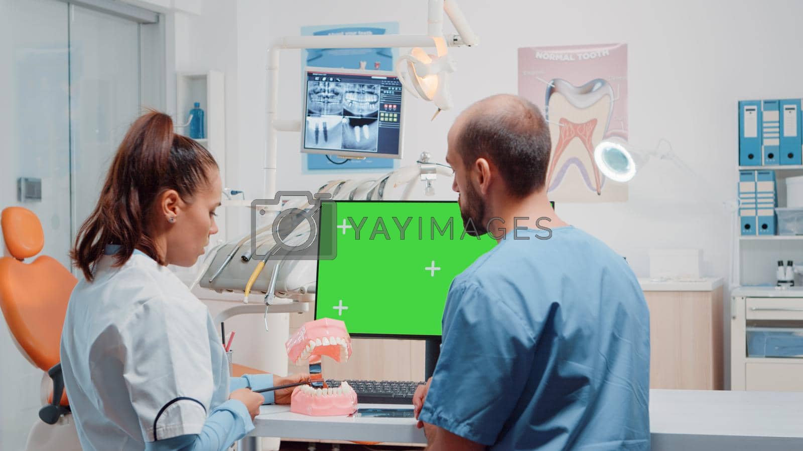 Woman dentist and man working with green screen on monitor while looking at teeth layout for dental examination. Oral care team using mockup template and isolated background for teethcare