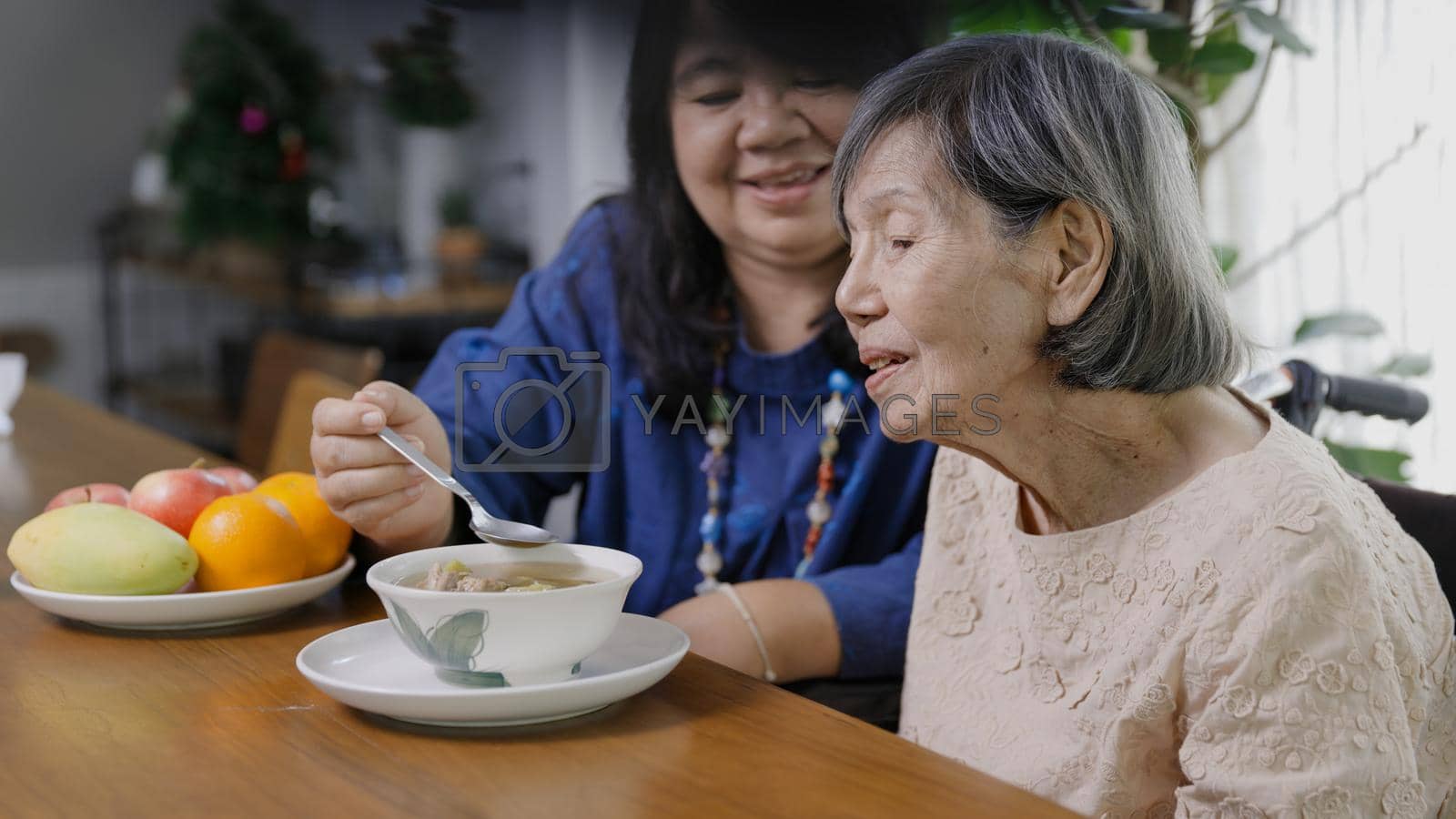 Daughter feeding elderly mother with soup.