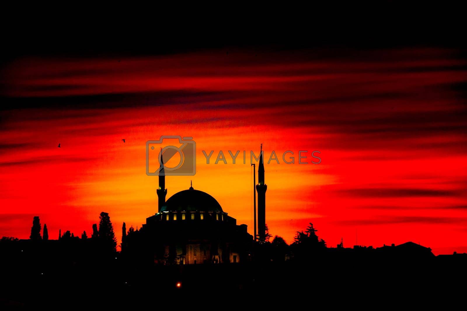 Royalty free image of Ottoman style mosque in Istanbul by berkay