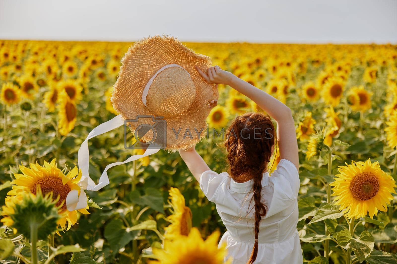 Woman in white dress holding hat above her head field of sunflowers nature landscape. High quality photo
