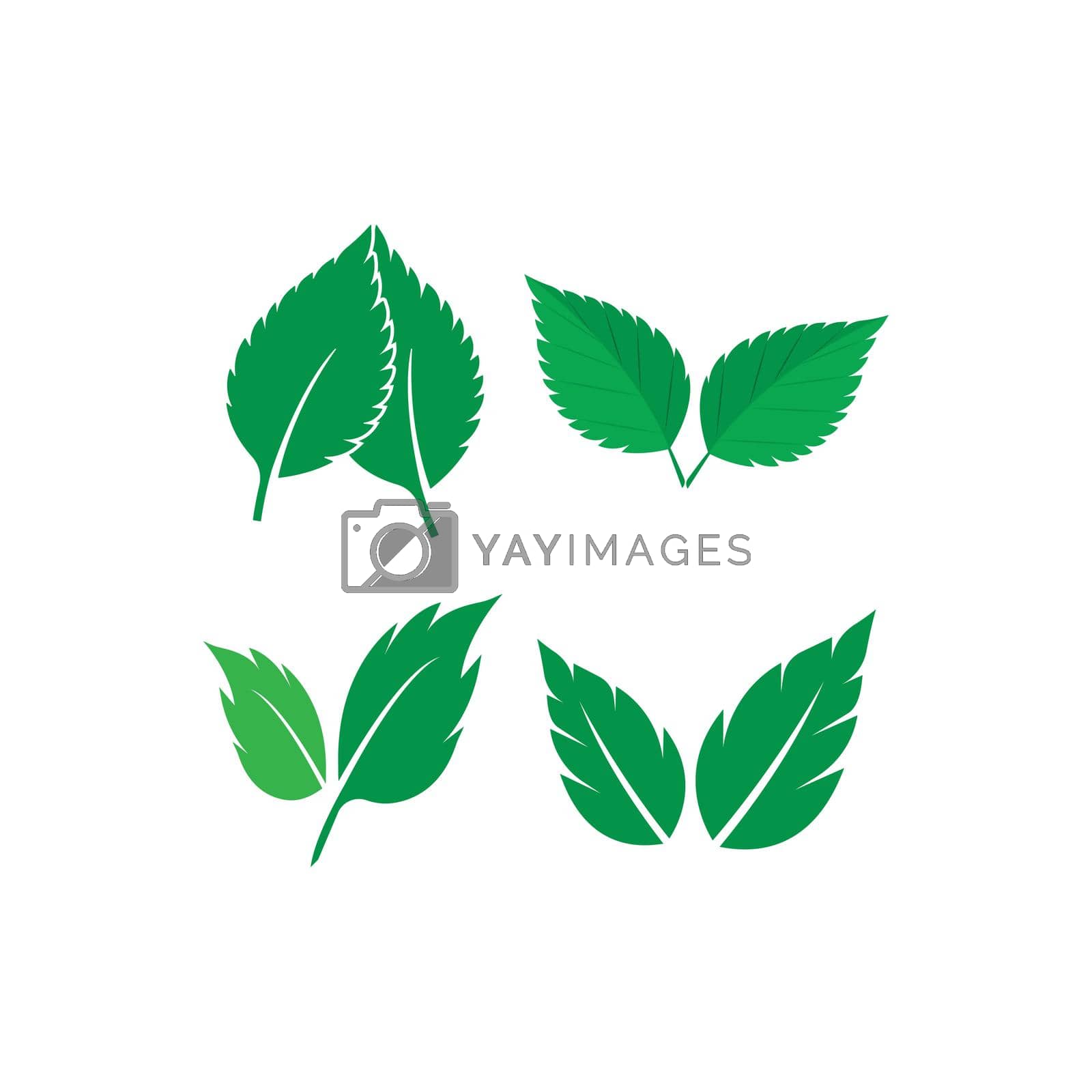 Royalty free image of mint leaf logo by awk