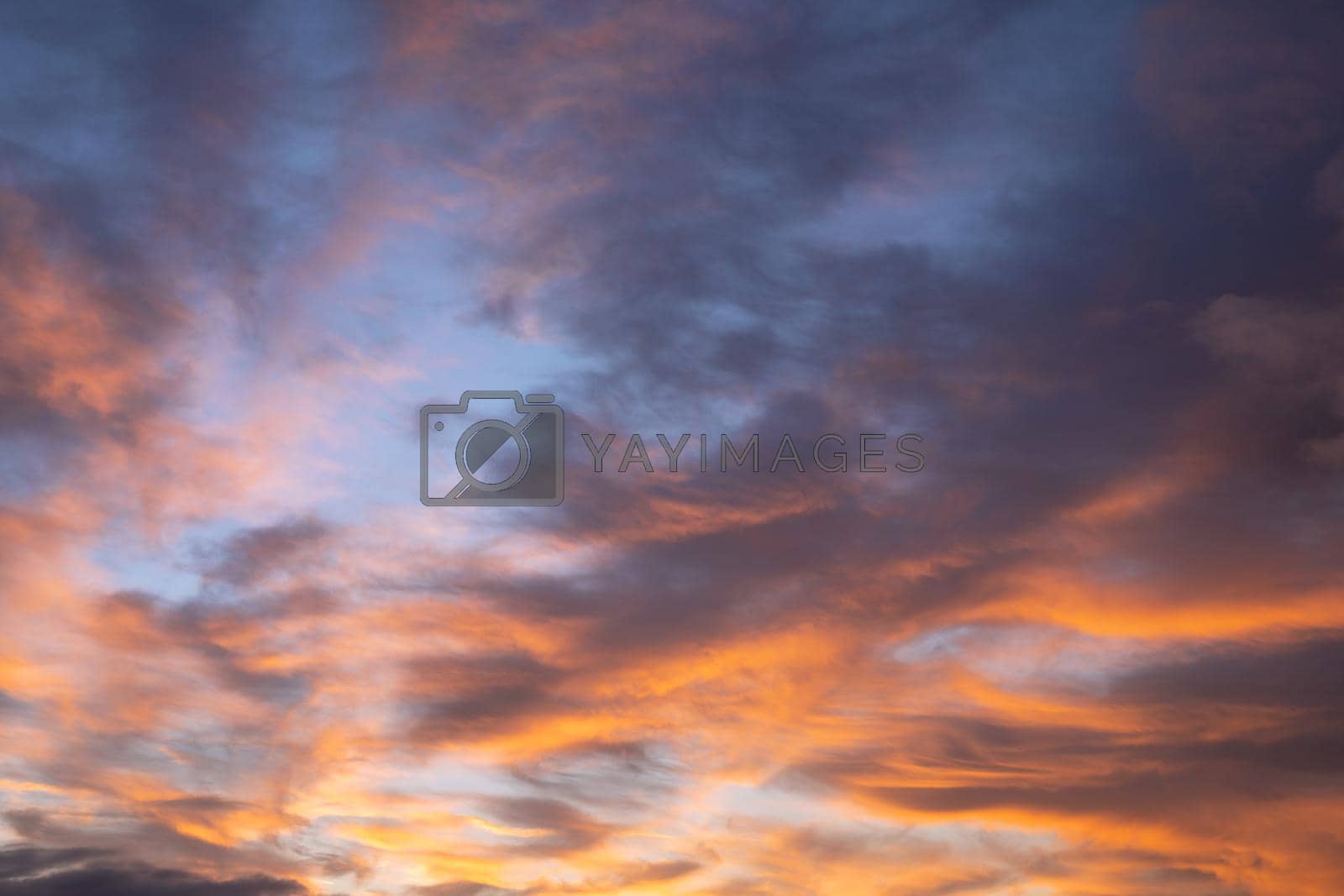 Royalty free image of Sky with red-colored clouds by alfotokunst