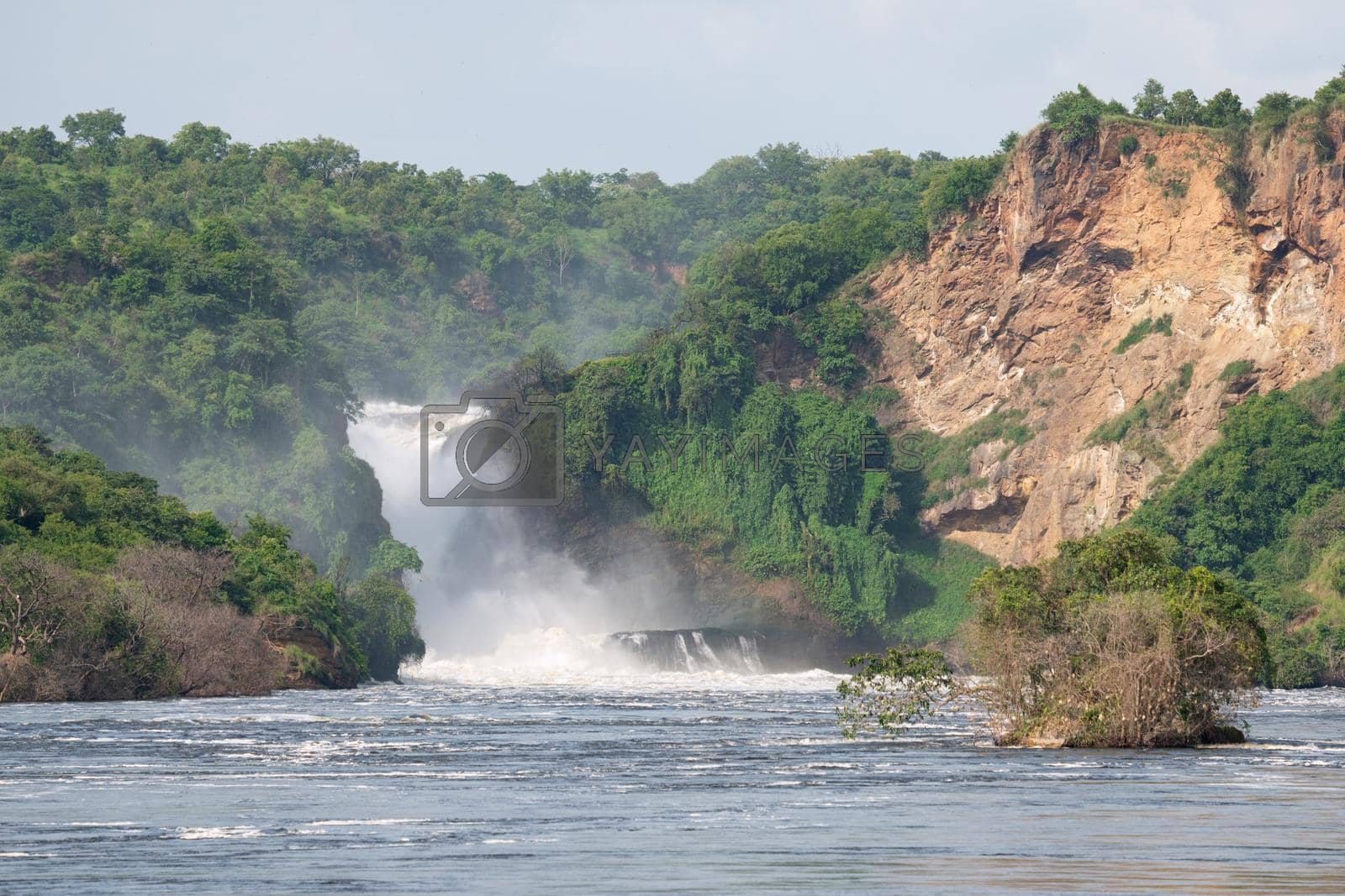 Royalty free image of Murchison Falls National Park, Uganda by alfotokunst
