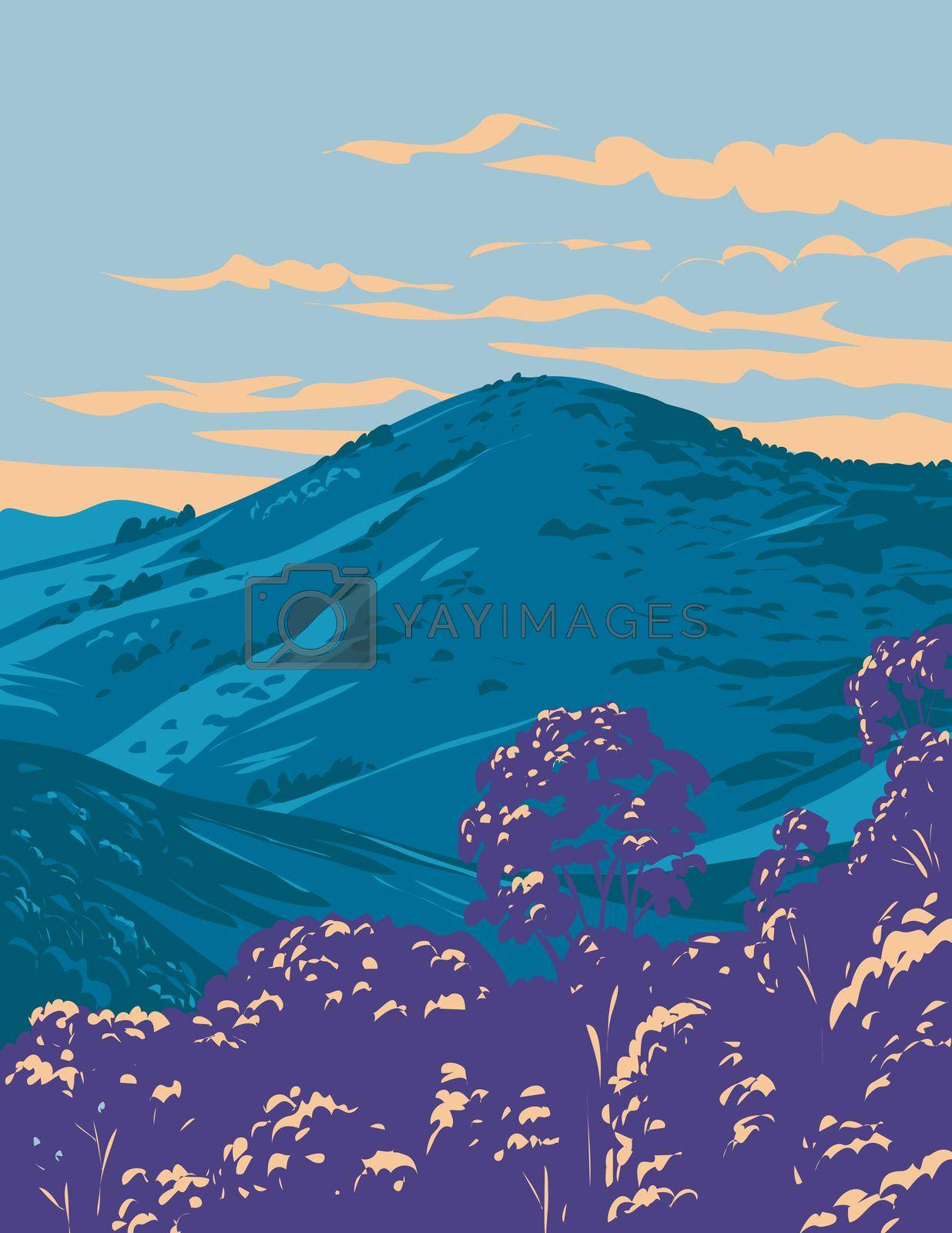 Royalty free image of Barrington Tops National Park in Hunter Valley Part of Mount Royal Range in New South Wales Australia WPA Poster Art by patrimonio