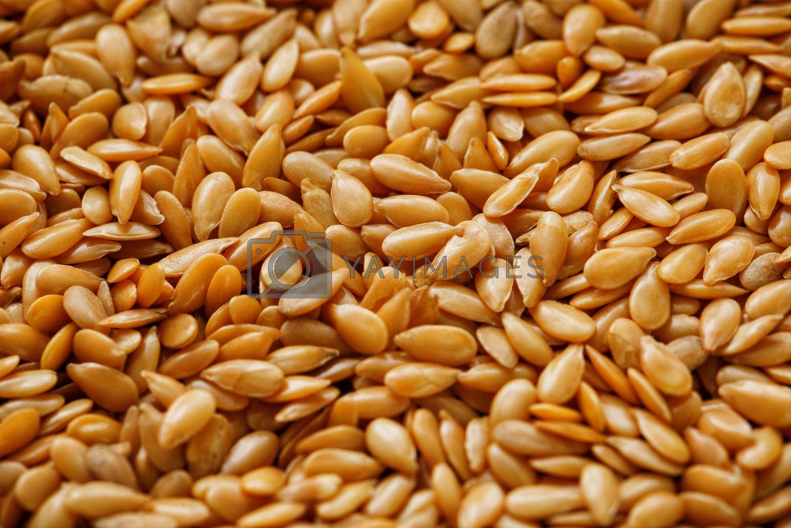 Royalty free image of Background texture of white flax seeds. Useful cereals. by AlexGrec