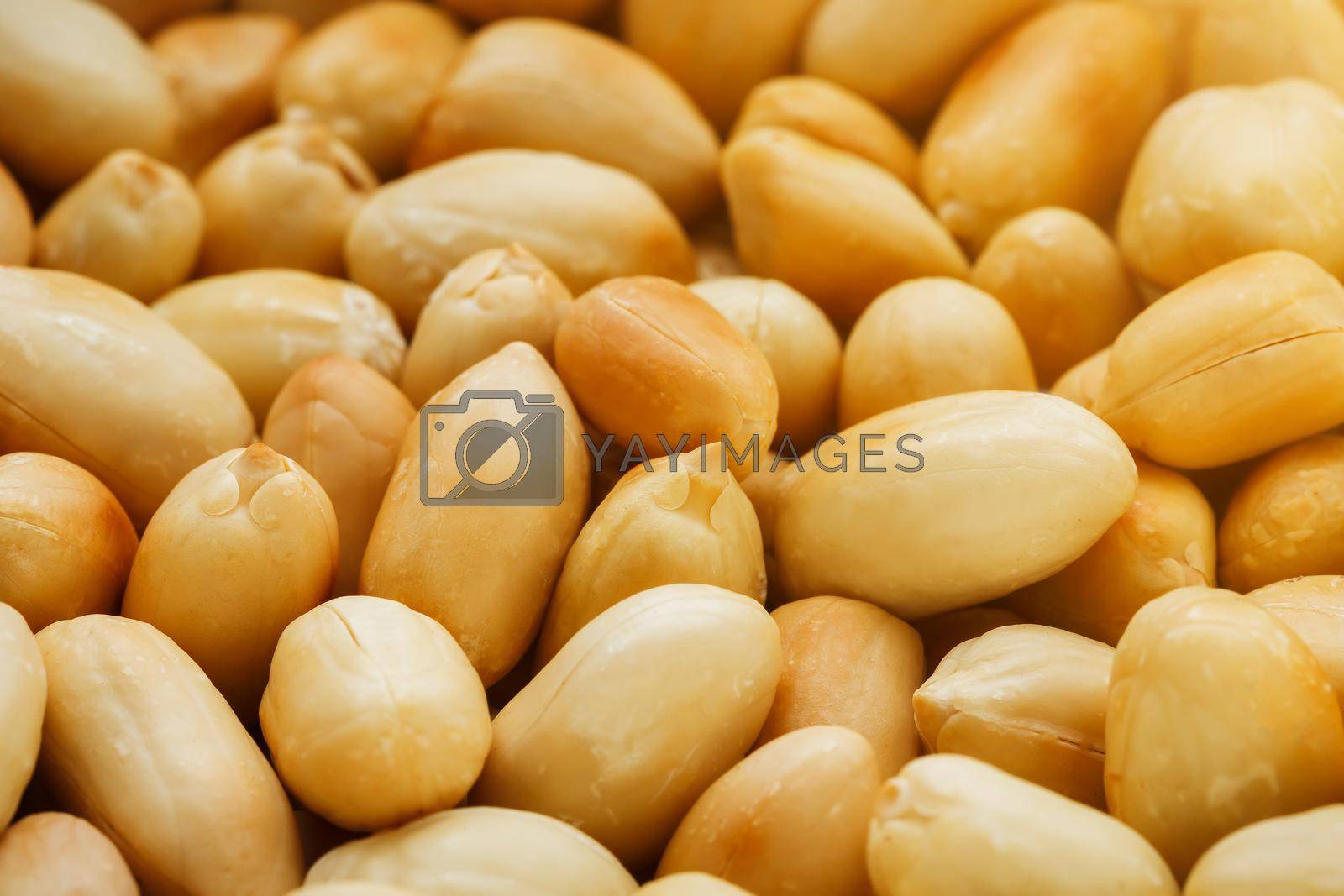 Royalty free image of Peanut texture. food background of peanuts beans. by AlexGrec