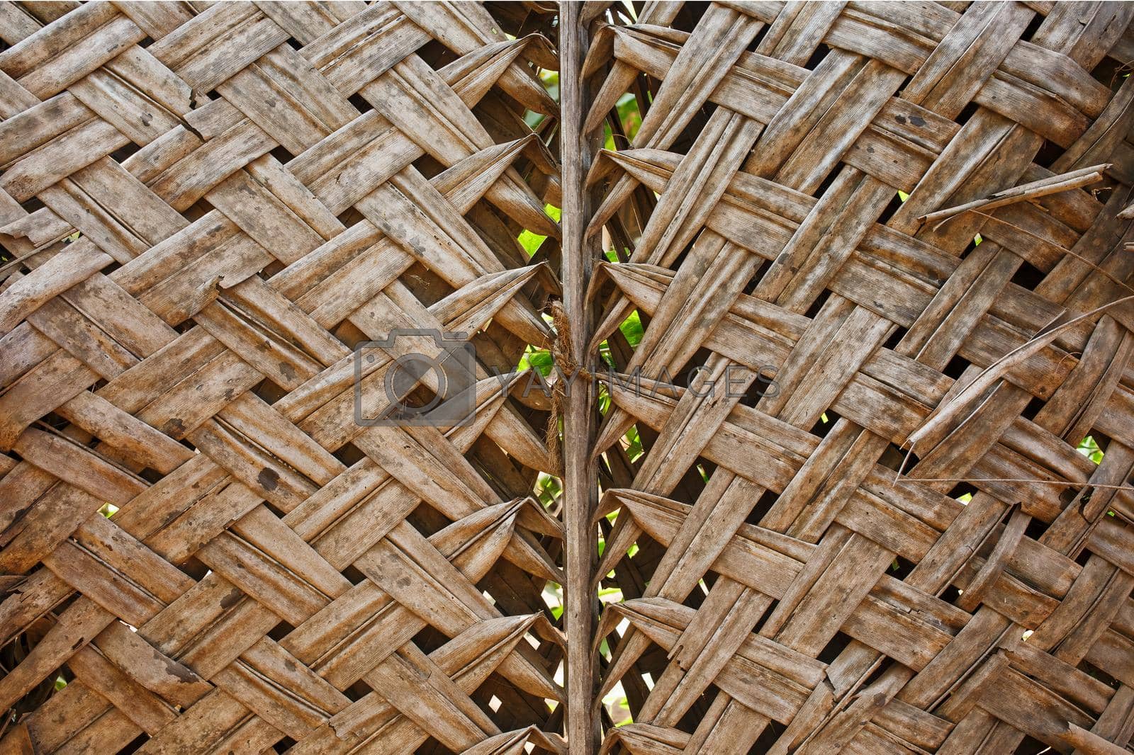 bamboo texture and background, nature material, old