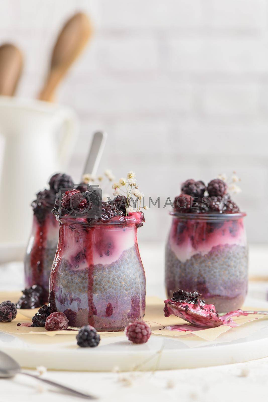 Royalty free image of Chia pudding with blackberries by homydesign