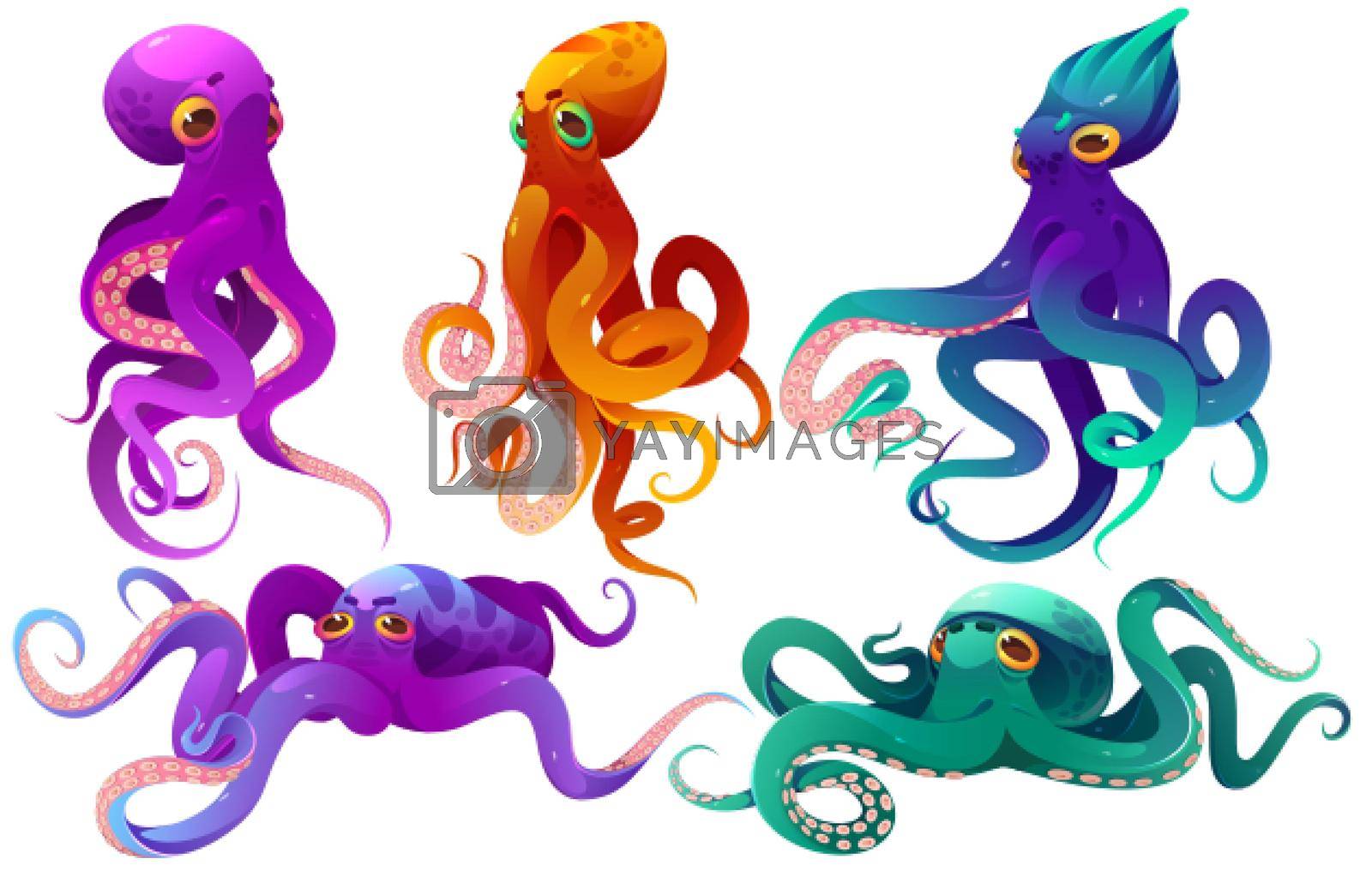 Cartoon octopuses sea animals, underwater ocean creatures with colorful skin and long tentacles. Water kraken, cephalopoda characters with big eyes and feelers in different poses, isolated vector set