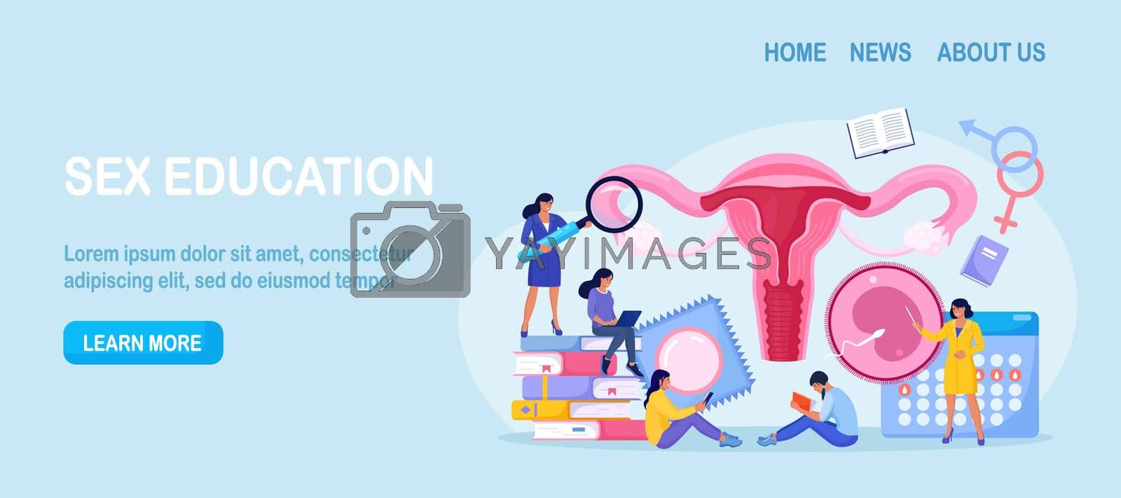 Royalty free image of People are studying sex education. Human biology and anatomy lesson. Sexual health lesson for young people. Contraception and female reproductive system. Body internal organ. Sexuality and gender by TanushkaBu