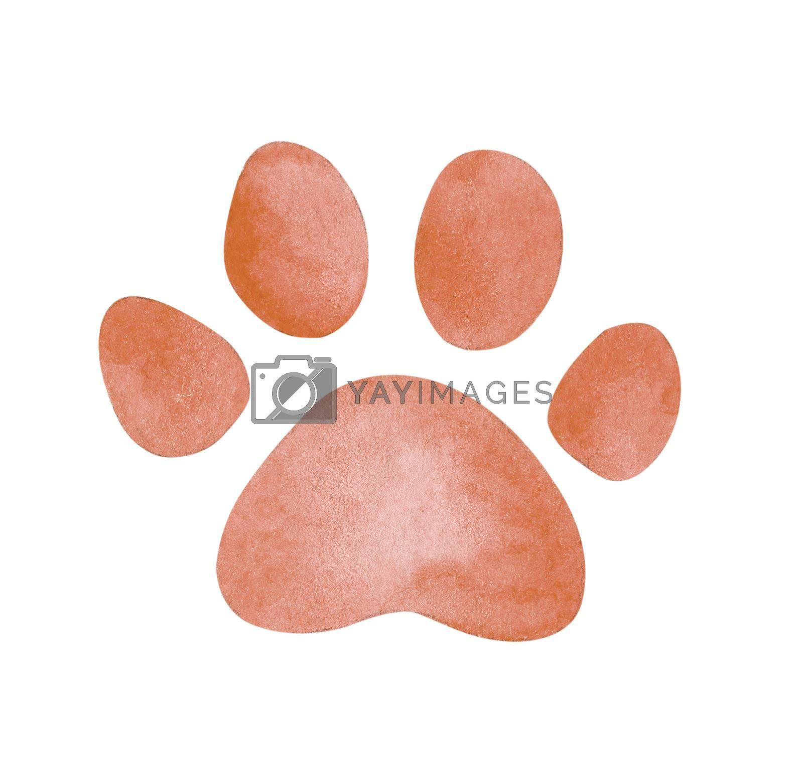 Royalty free image of Watercolor brown paw stain isolated on white by dreamloud
