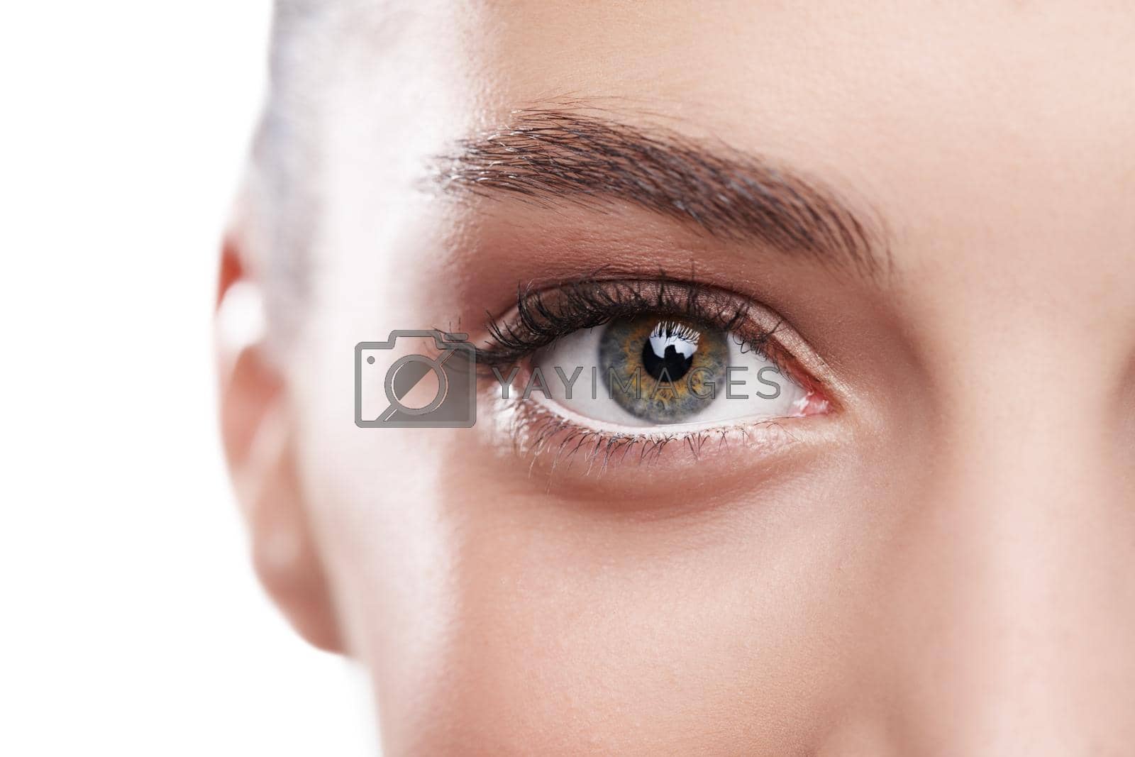 Closeup shot of a beautiful woman's green eye