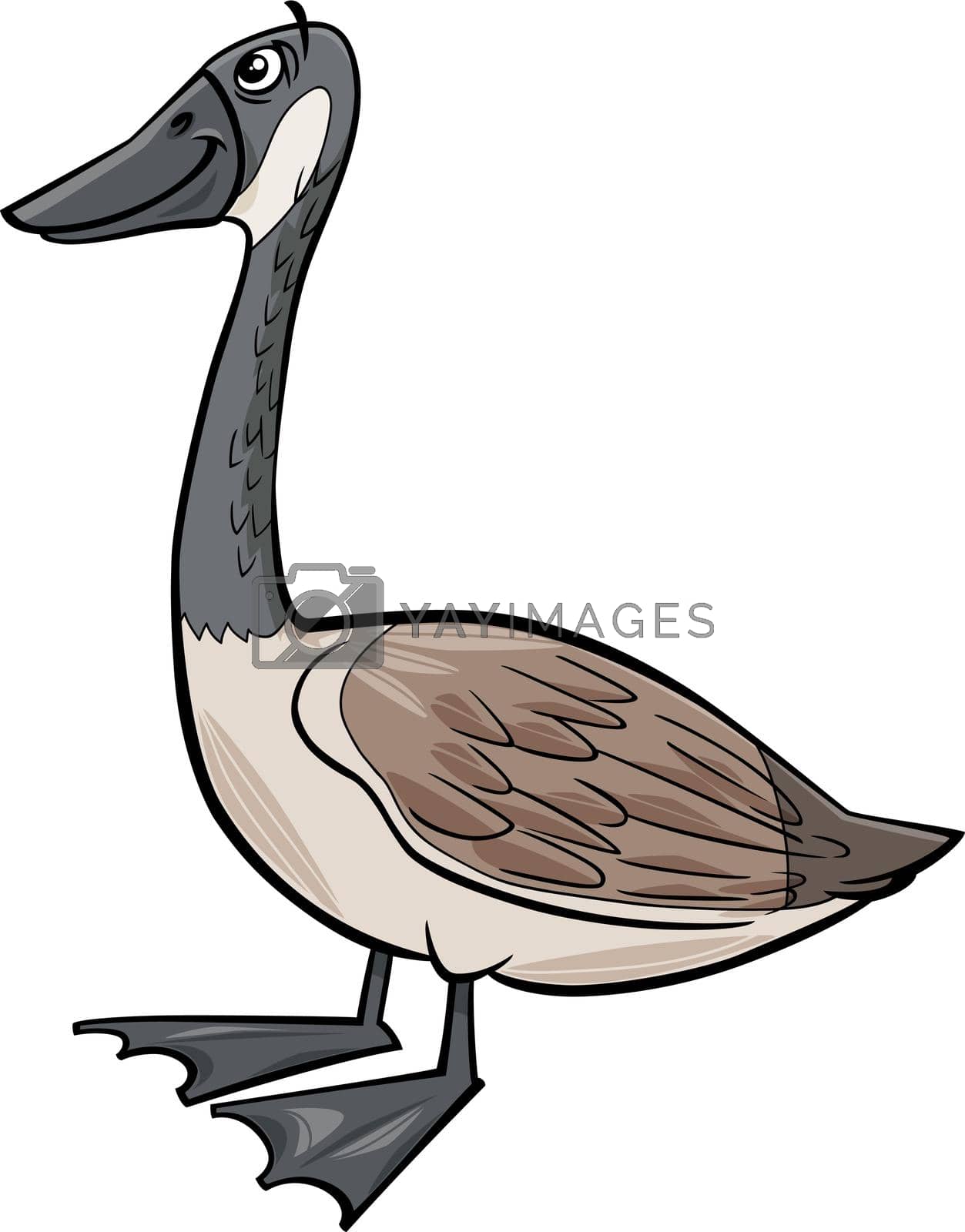 Royalty free image of wild goose bird animal character cartoon illustration by izakowski