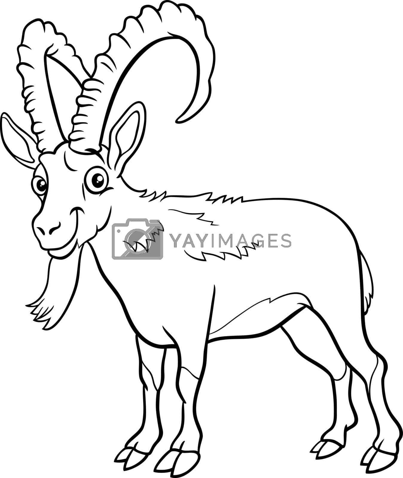 Royalty free image of cartoon ibex comic animal character coloring book page by izakowski