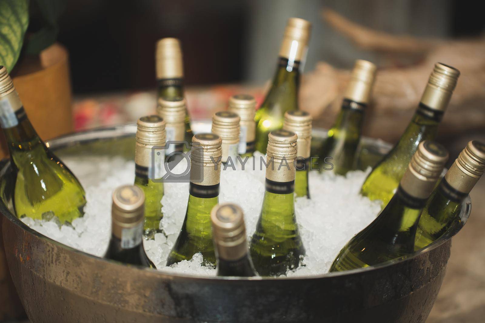 Royalty free image of Glass bottles of wine in an ice bucket by StudioPeace