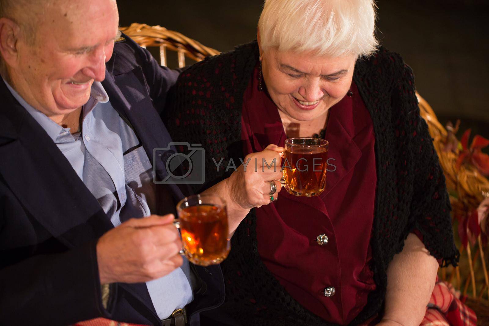 Grandpa and grandma drink tea in the Park.