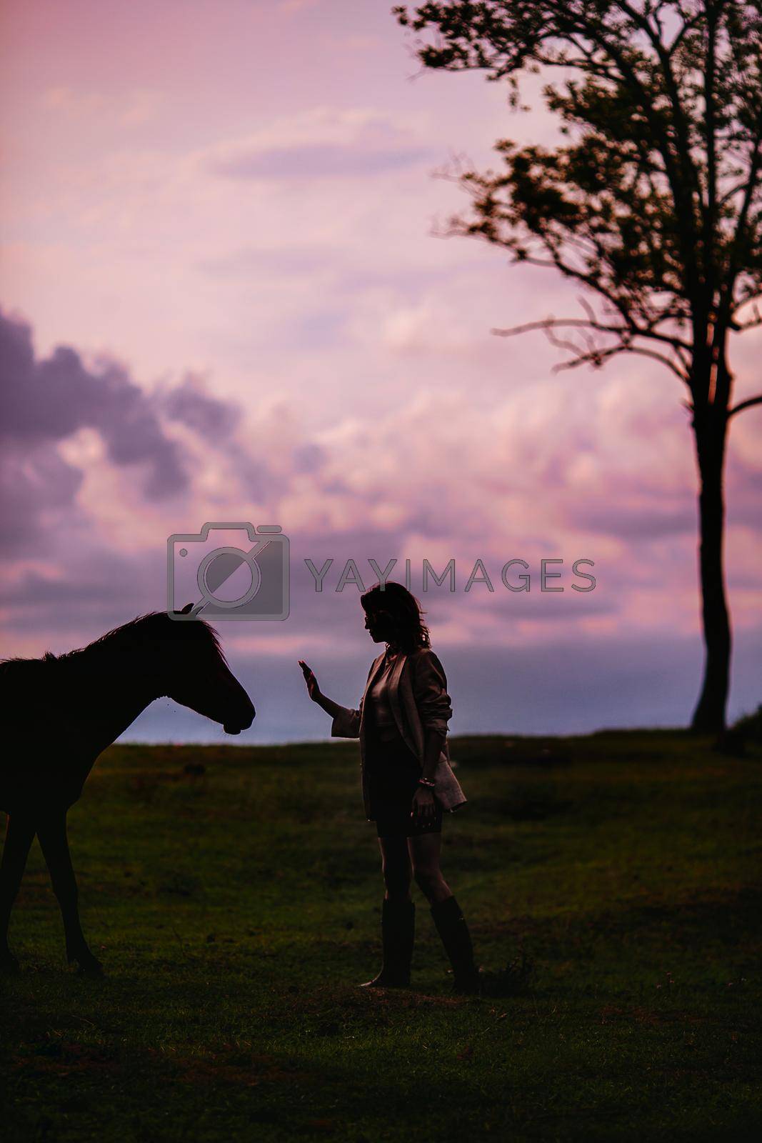 Royalty free image of Young woman with wild horse outdoors by travnikovstudio