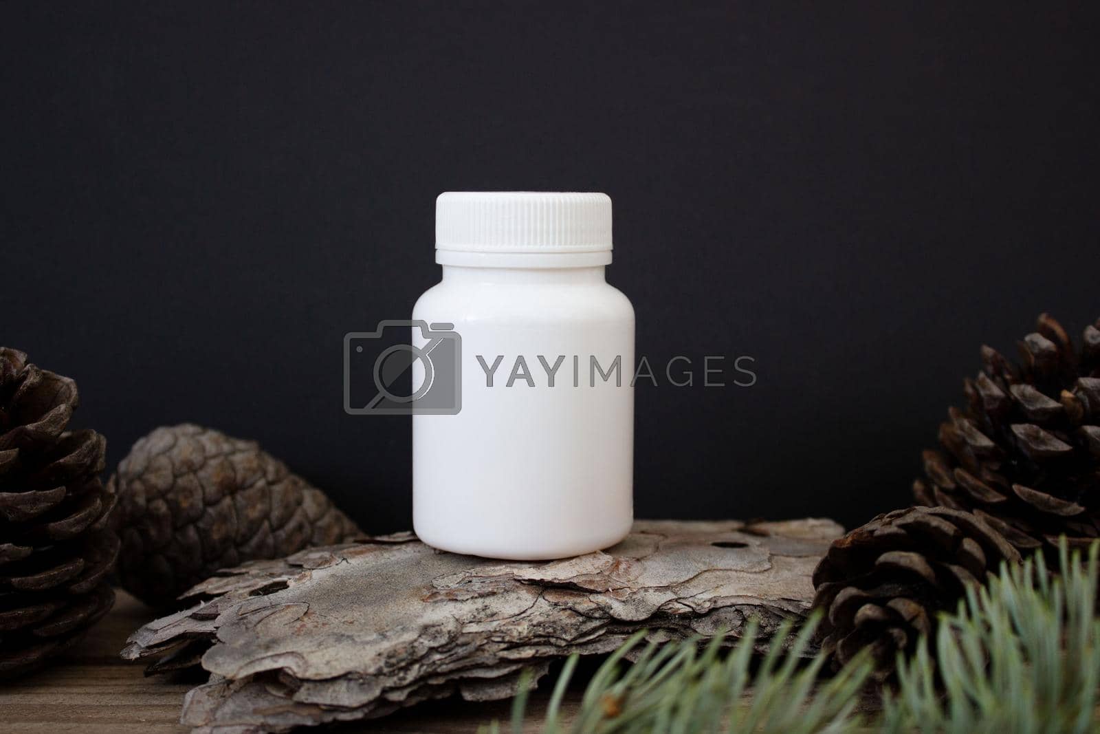 Mockup of a white plastic jar on a black background with tree bark and spruce branches, beauty product packaging. Promotion, sale, presentation of cosmetic products.