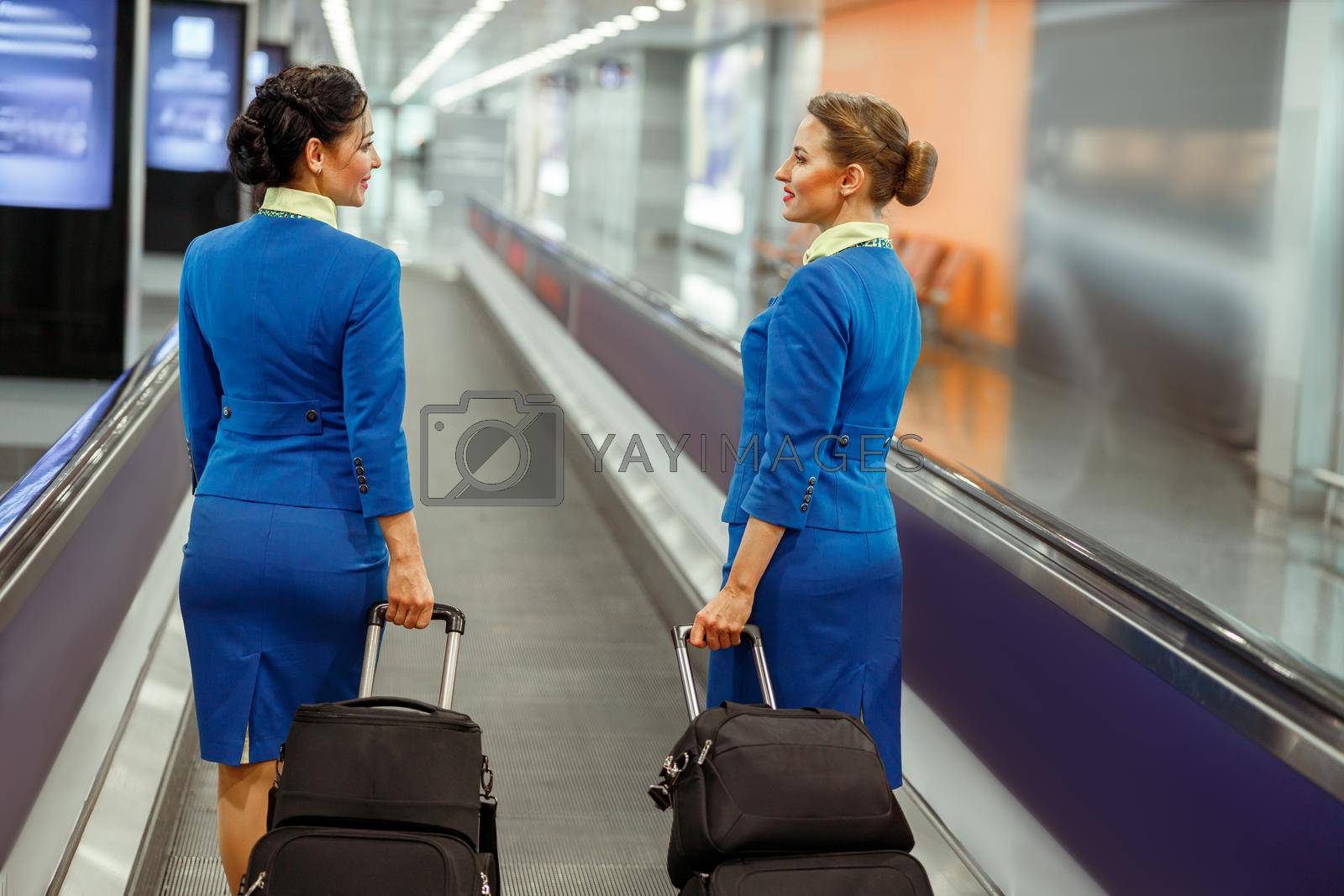 Cheerful female flight attendants with trolley luggage bags walking down airport terminal