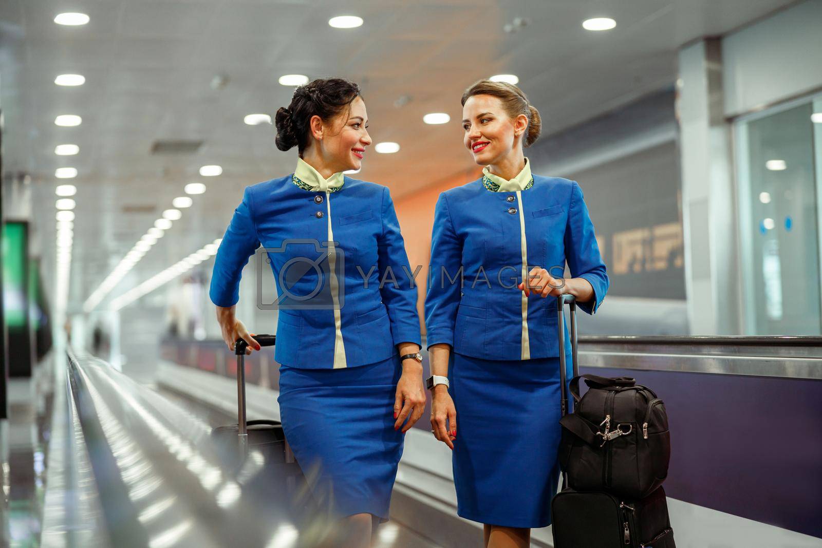 Joyful female flight attendants in air hostess uniform looking at each other and smiling while waiting for airplane