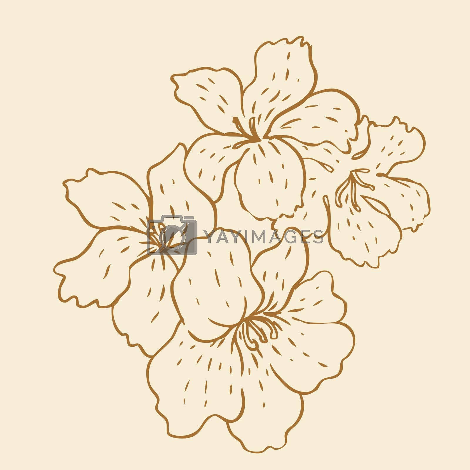 Royalty free image of Vintage hand-drawing background with flowers by varka