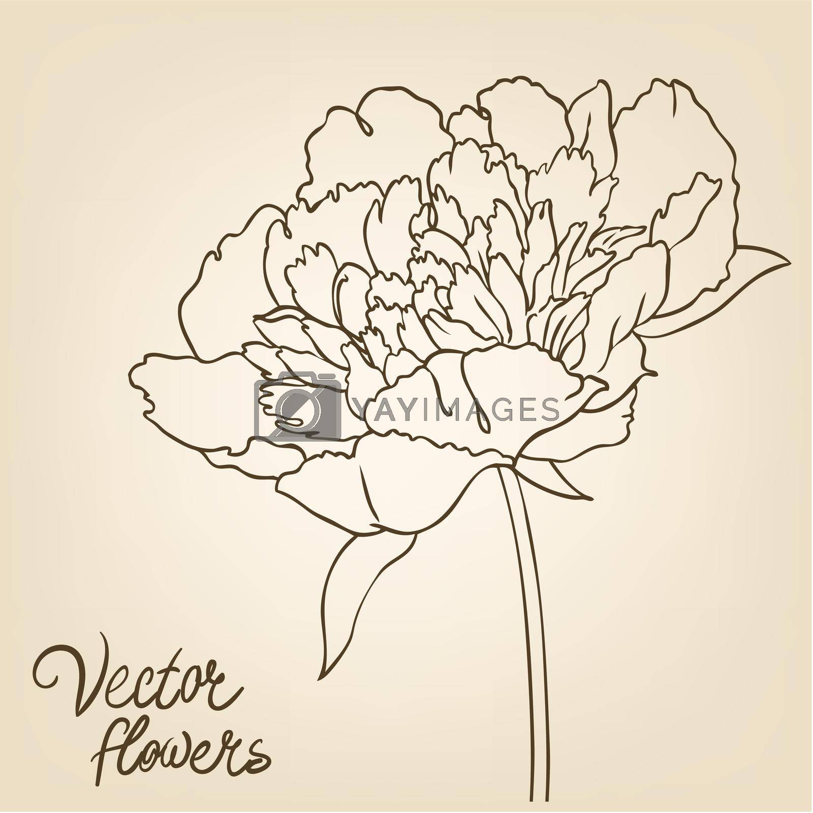 Royalty free image of Vintage hand-drawing background with flowers by varka
