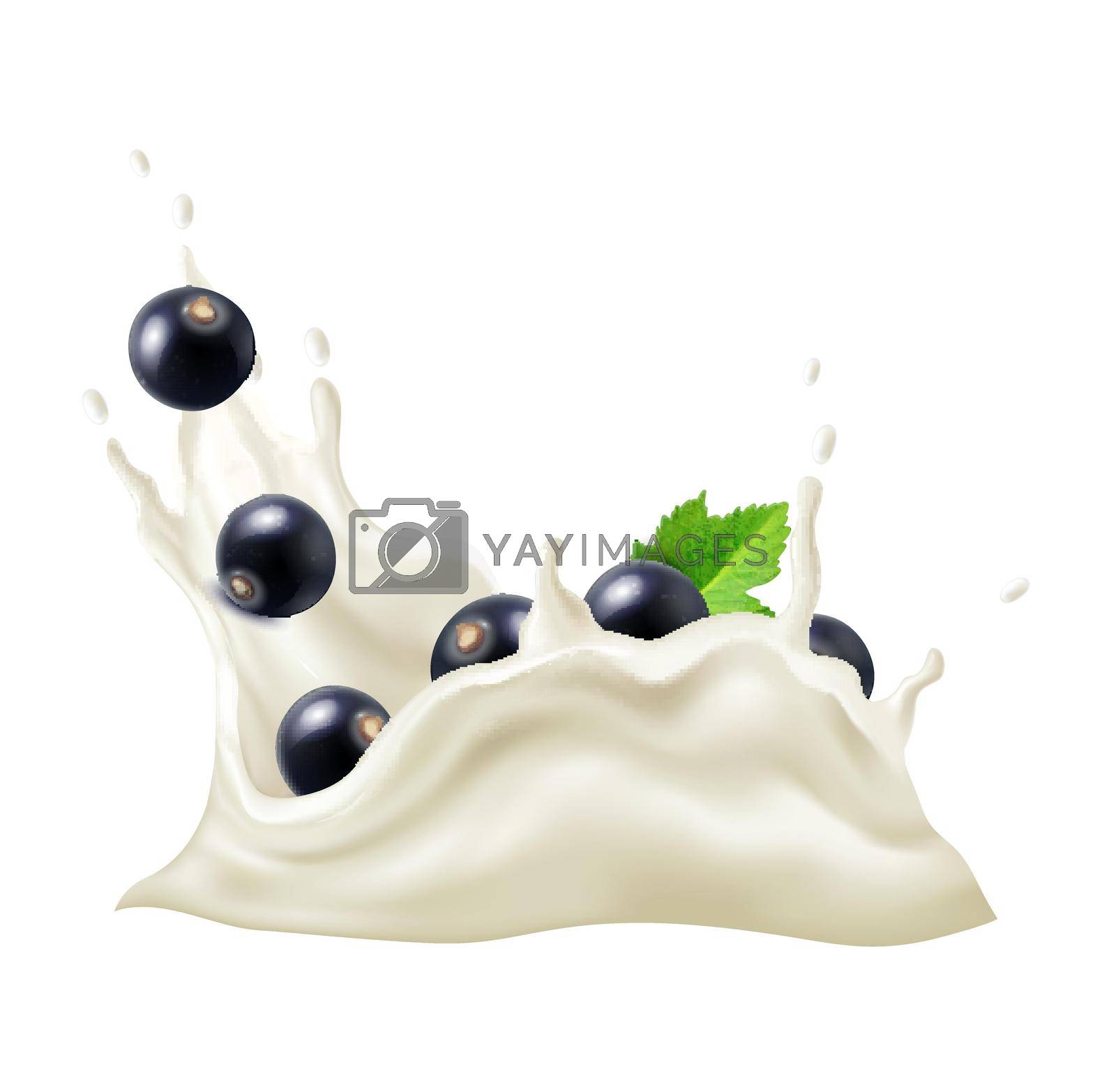 Royalty free image of Black Currant Yoghurt Composition by mstjahanara