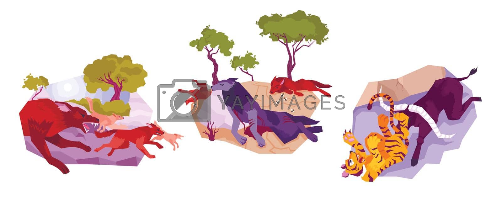 Three animals icon set with running wolves defeated wolves and a tiger vector illustration