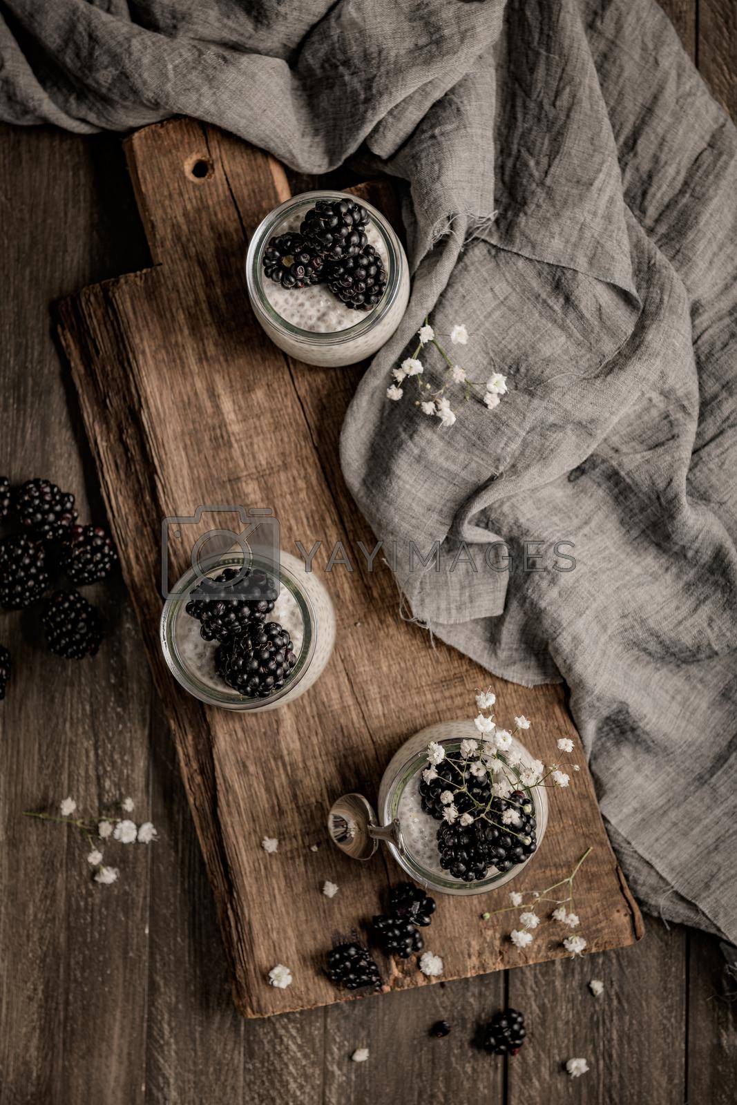 Royalty free image of Chia pudding with blackberries by homydesign