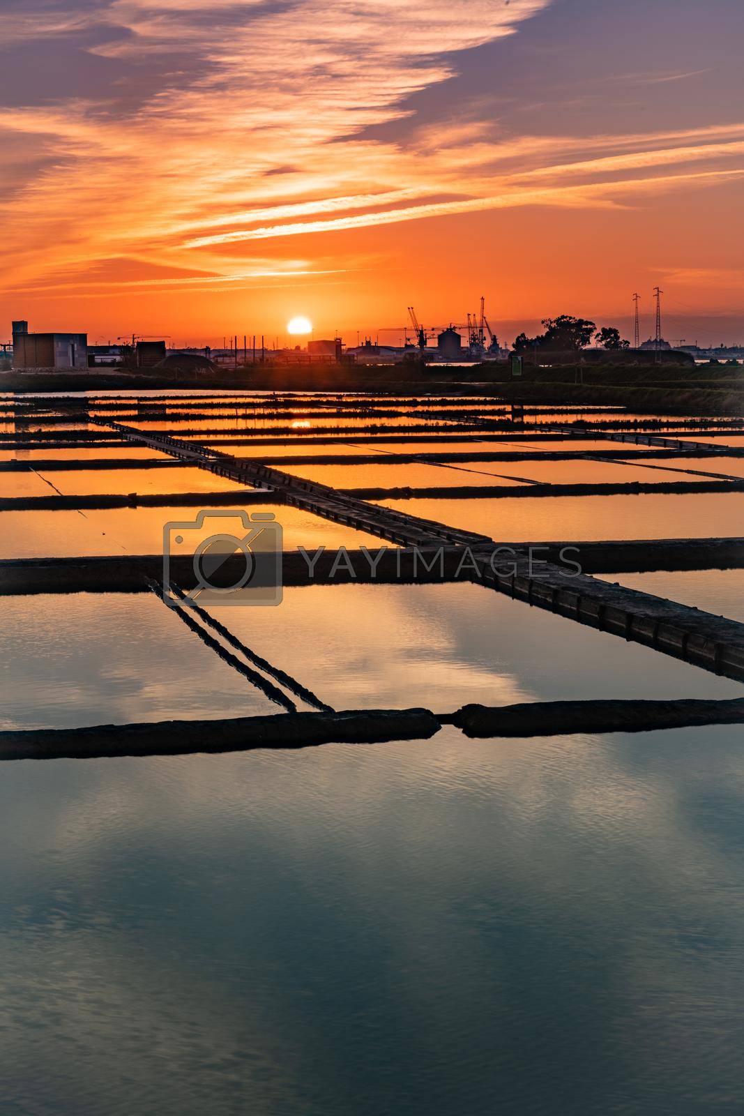 Royalty free image of Salt flats of Aveiro at sunset by homydesign