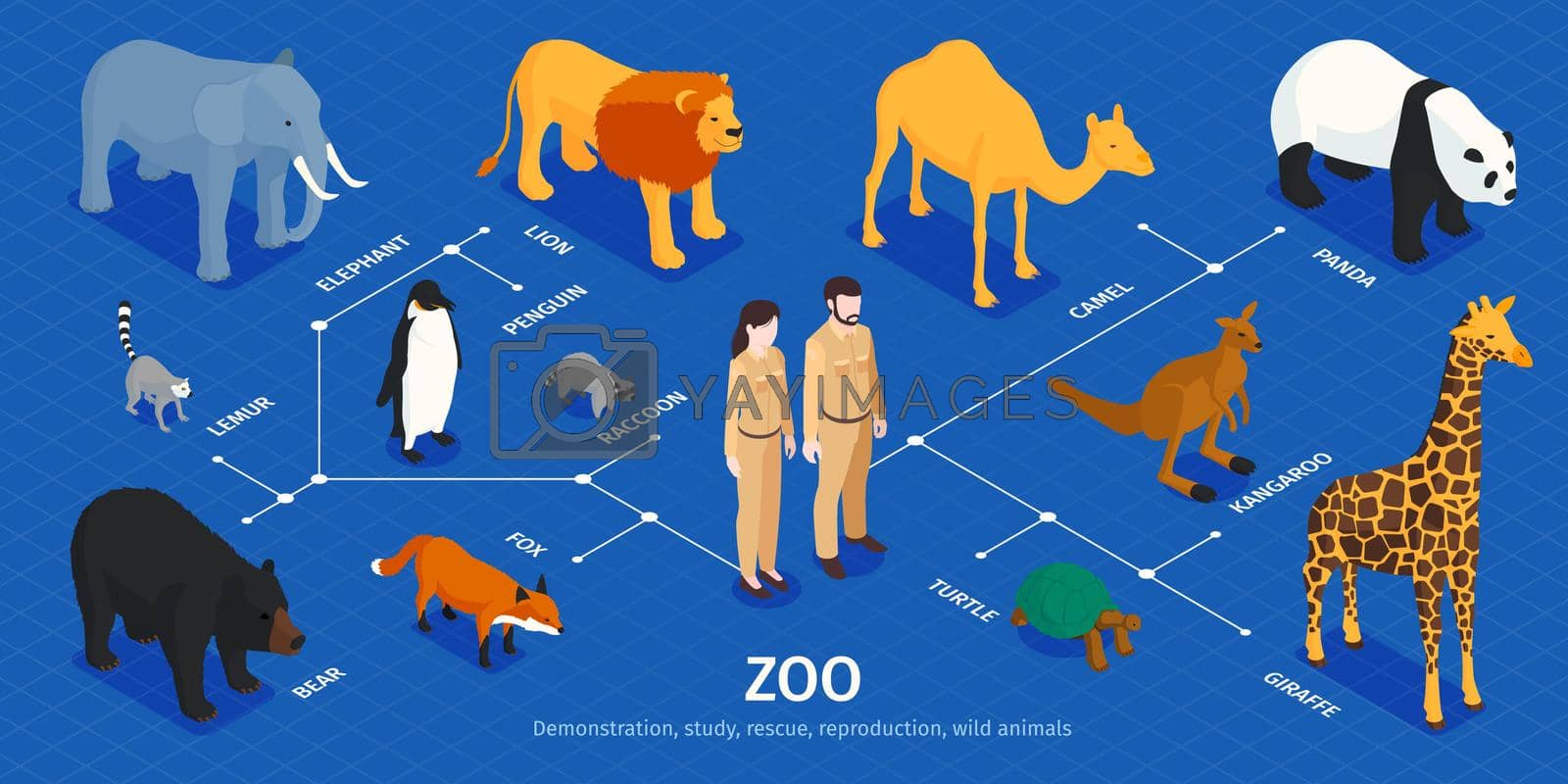 Isometric zoo infographics with isolated human characters exotic animals of various climate zones and text captions vector illustration