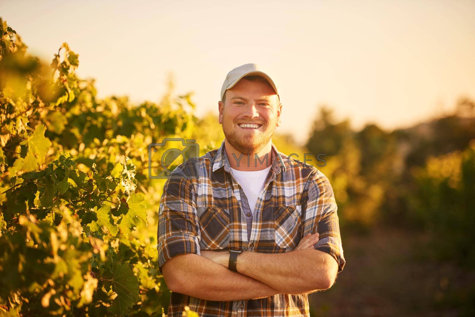 Royalty free image of Farming is in my blood. Portrait of a happy farmer posing with his arms crossed in a vineyard. by YuriArcurs
