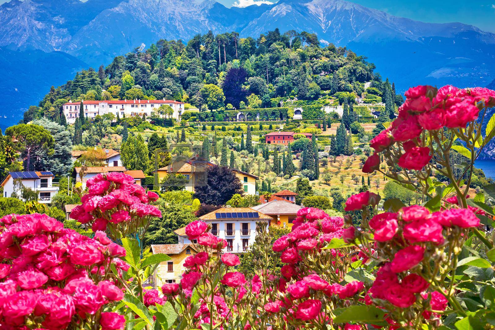 Royalty free image of Town of Belaggio on Como Lake flower frame landscape view by xbrchx