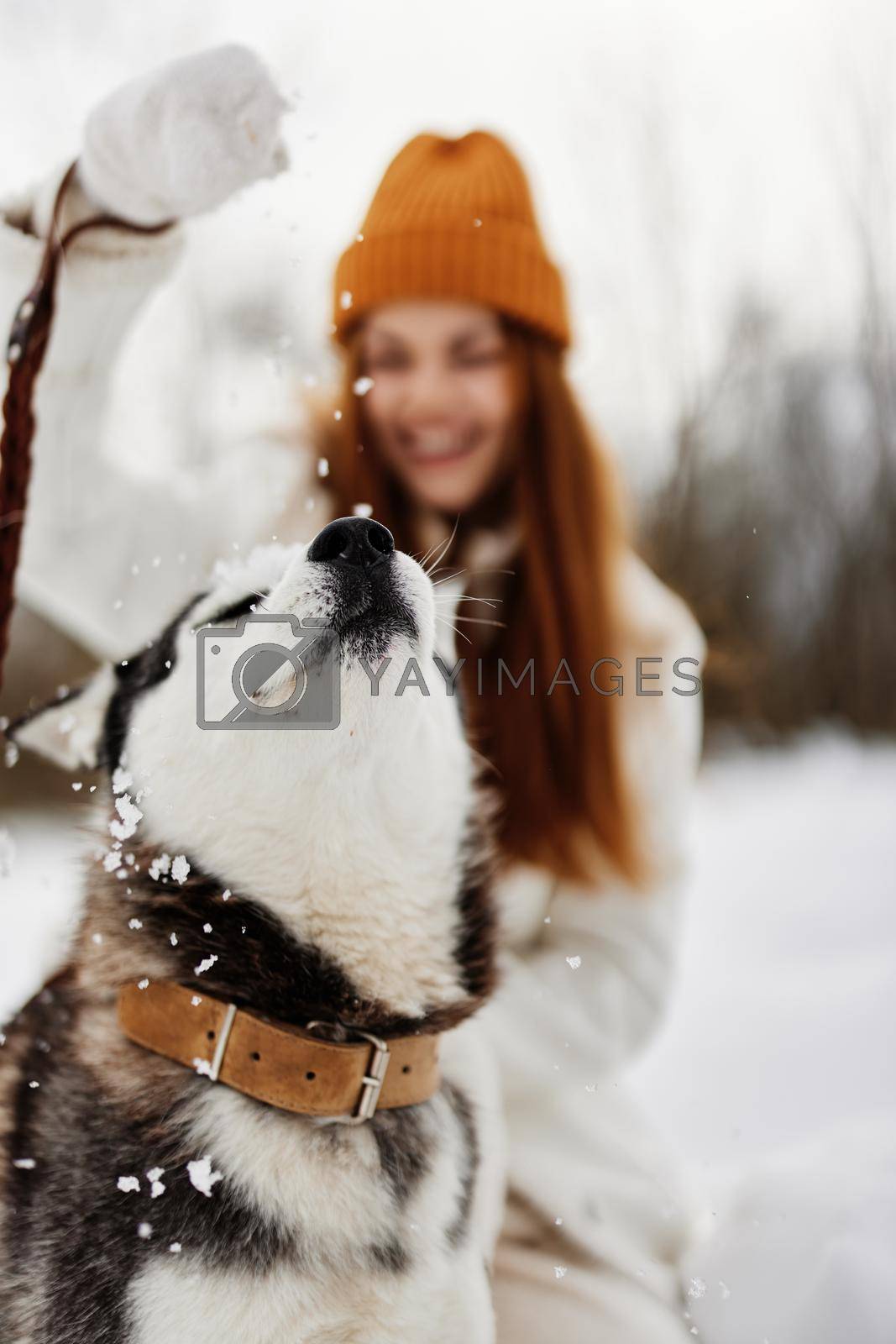 woman with dog outdoor games snow fun travel Lifestyle. High quality photo