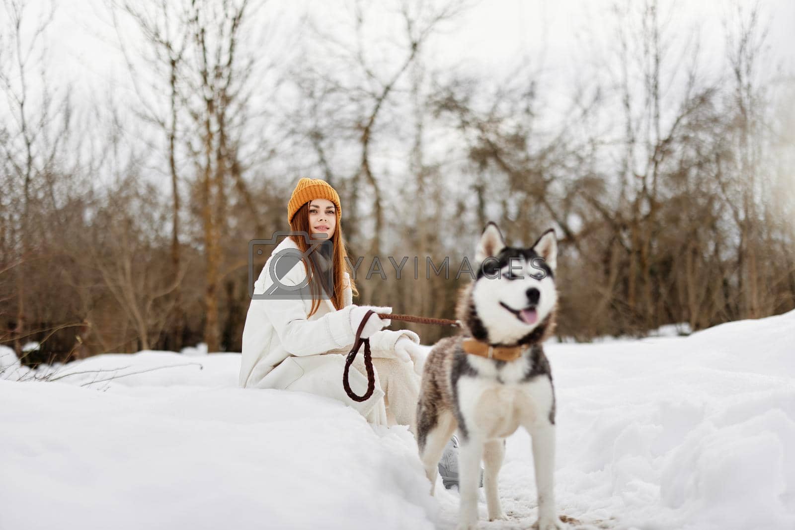 Happy young woman outdoors in a field in winter walking with a dog Lifestyle. High quality photo