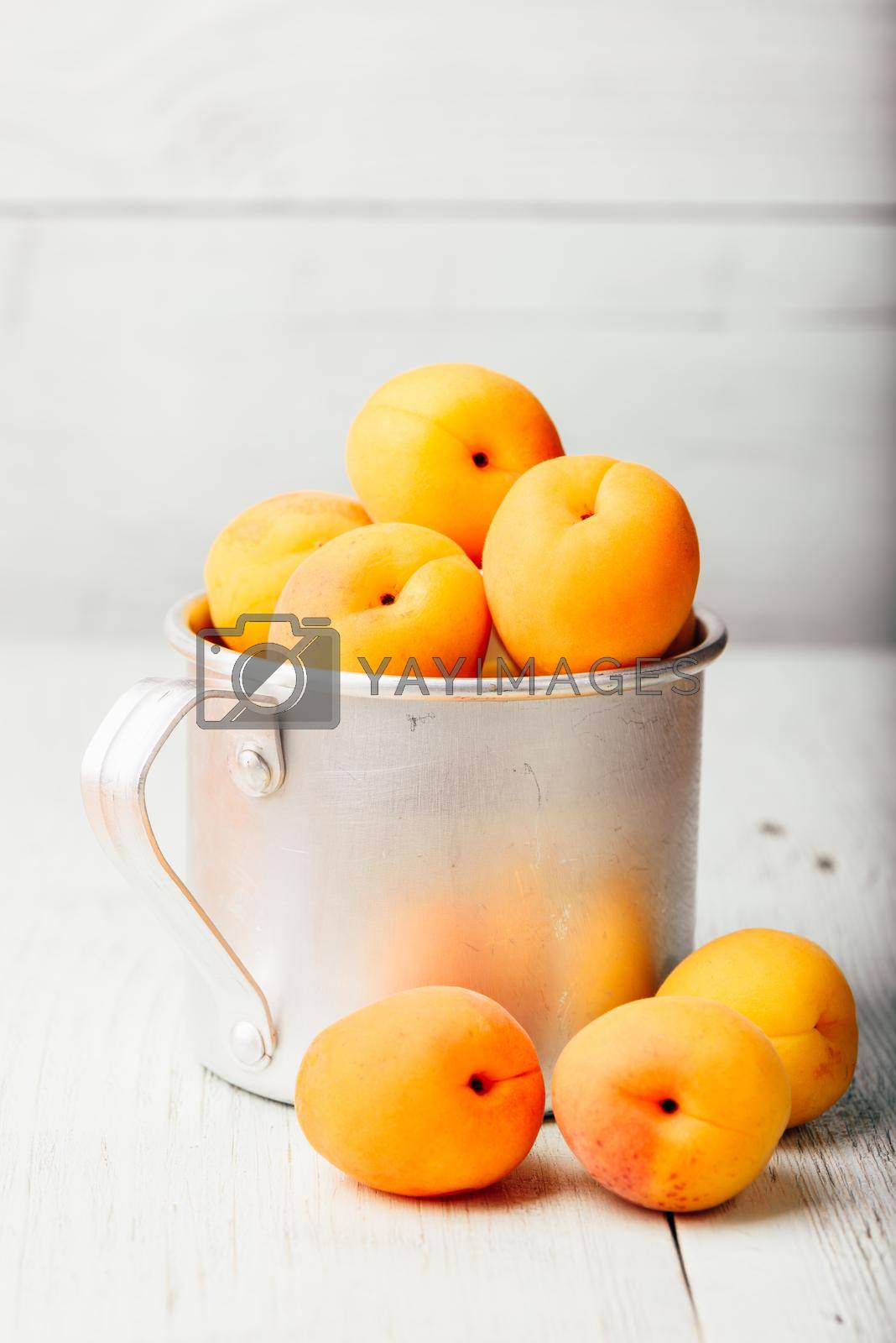 Royalty free image of Mellow apricots in metal mug by Seva_blsv